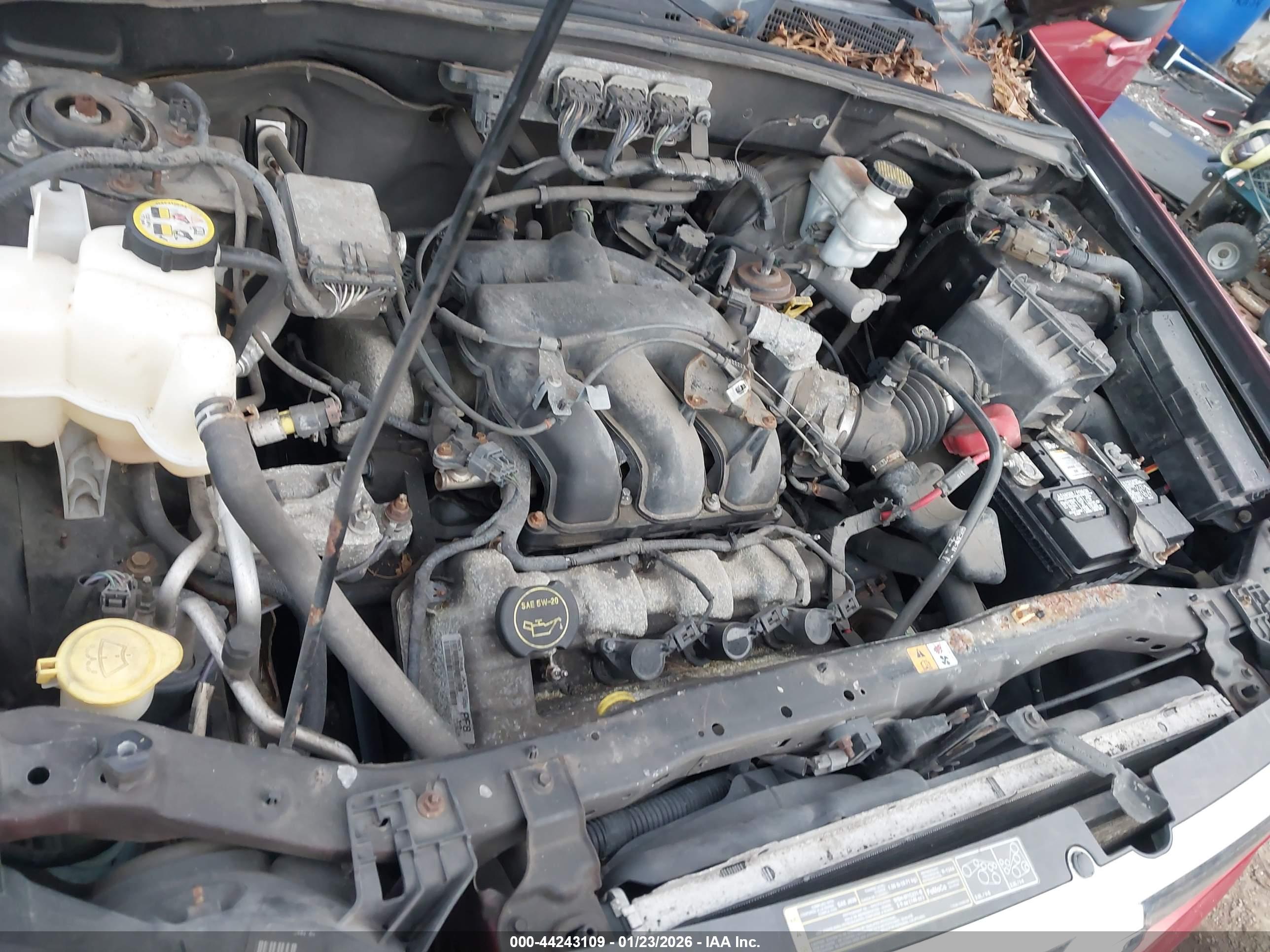MAZDA TRIBUTE image 10
