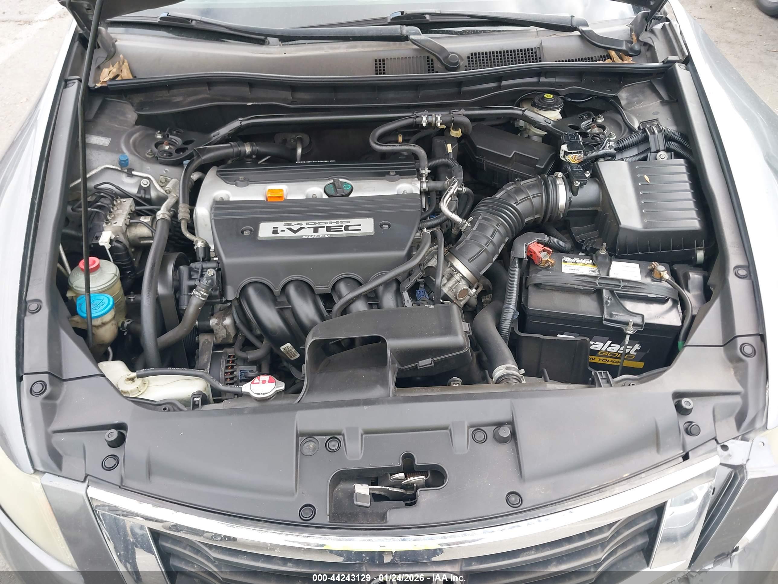 HONDA ACCORD image 10