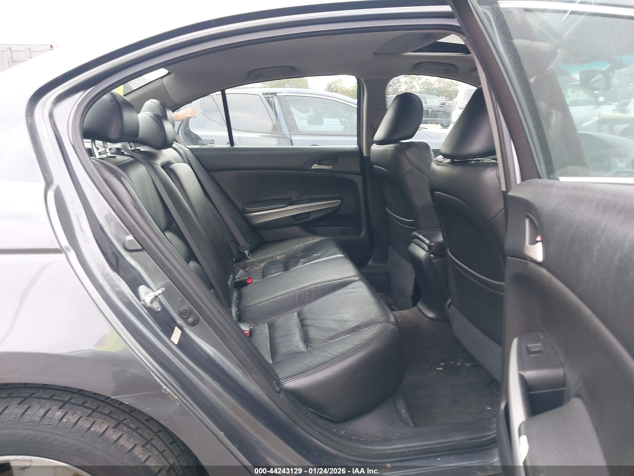 HONDA ACCORD image 8