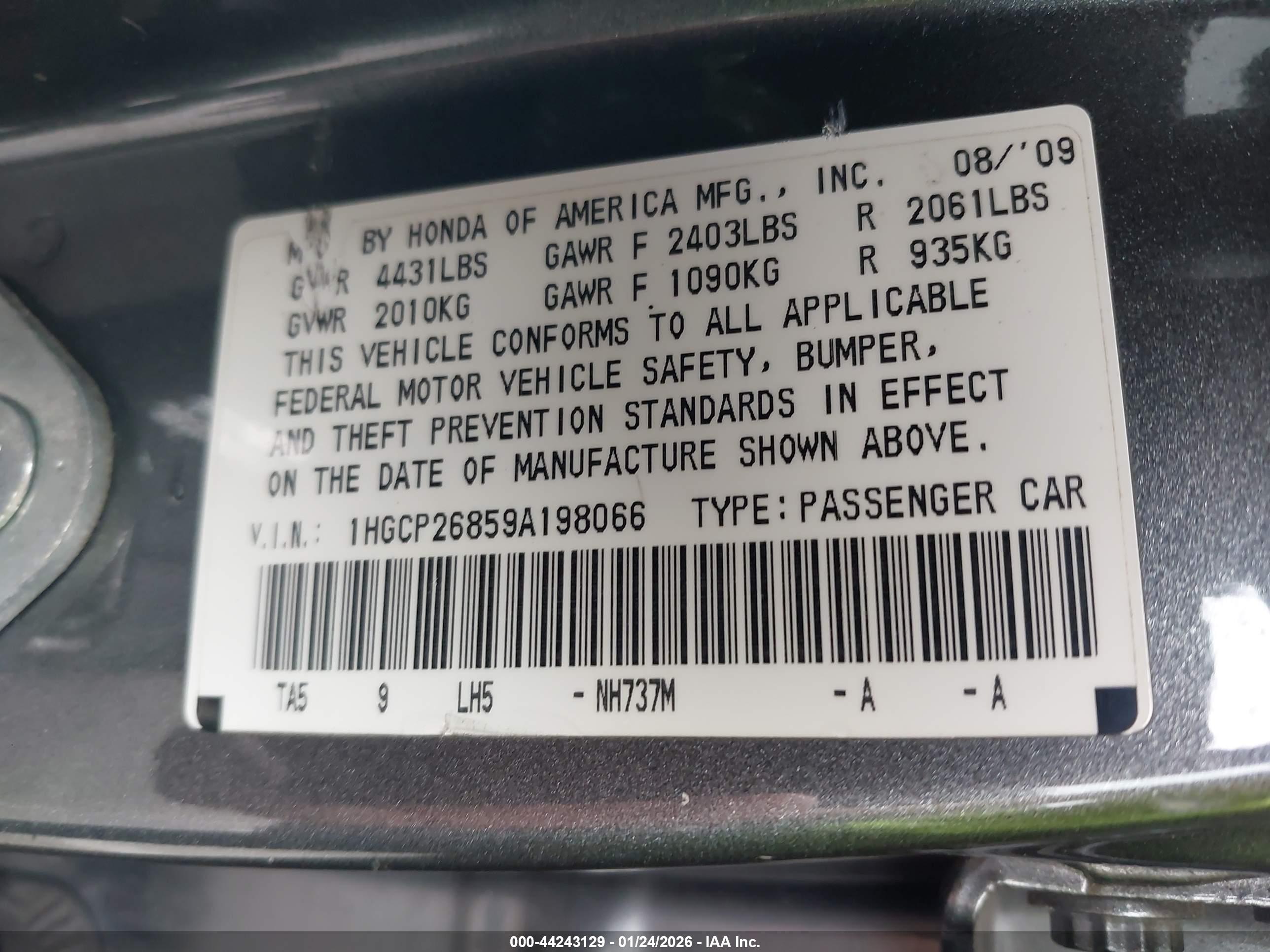 HONDA ACCORD image 9