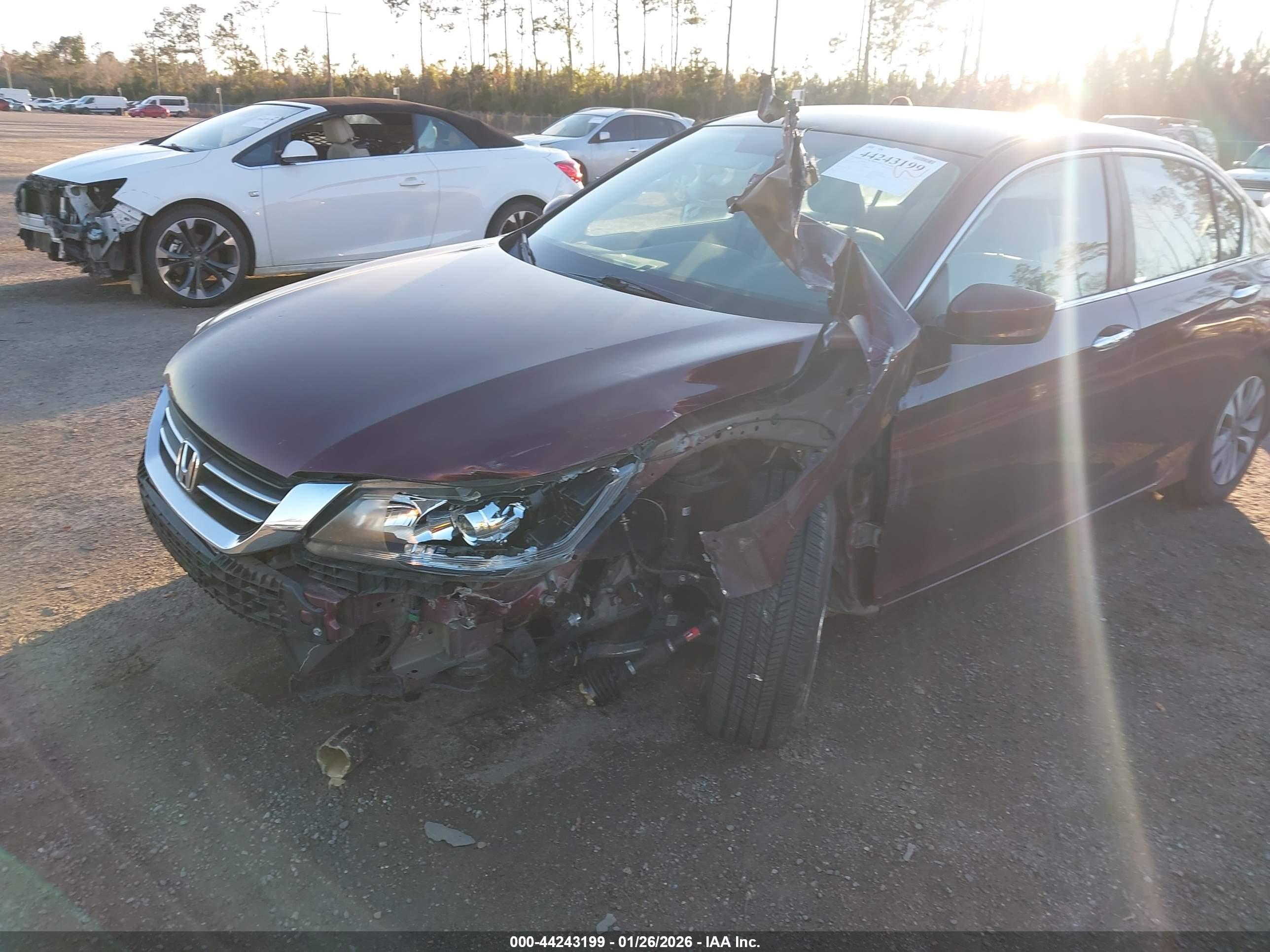HONDA ACCORD image 6