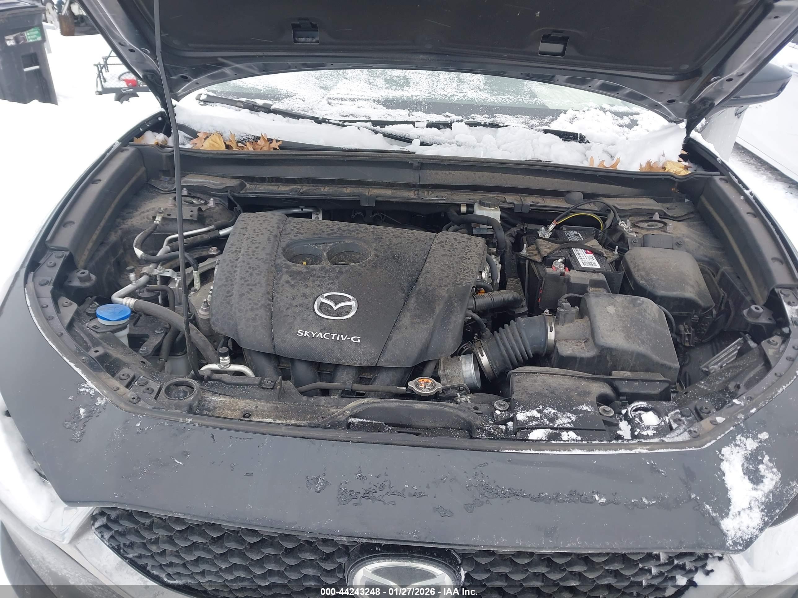 MAZDA CX-30 image 10