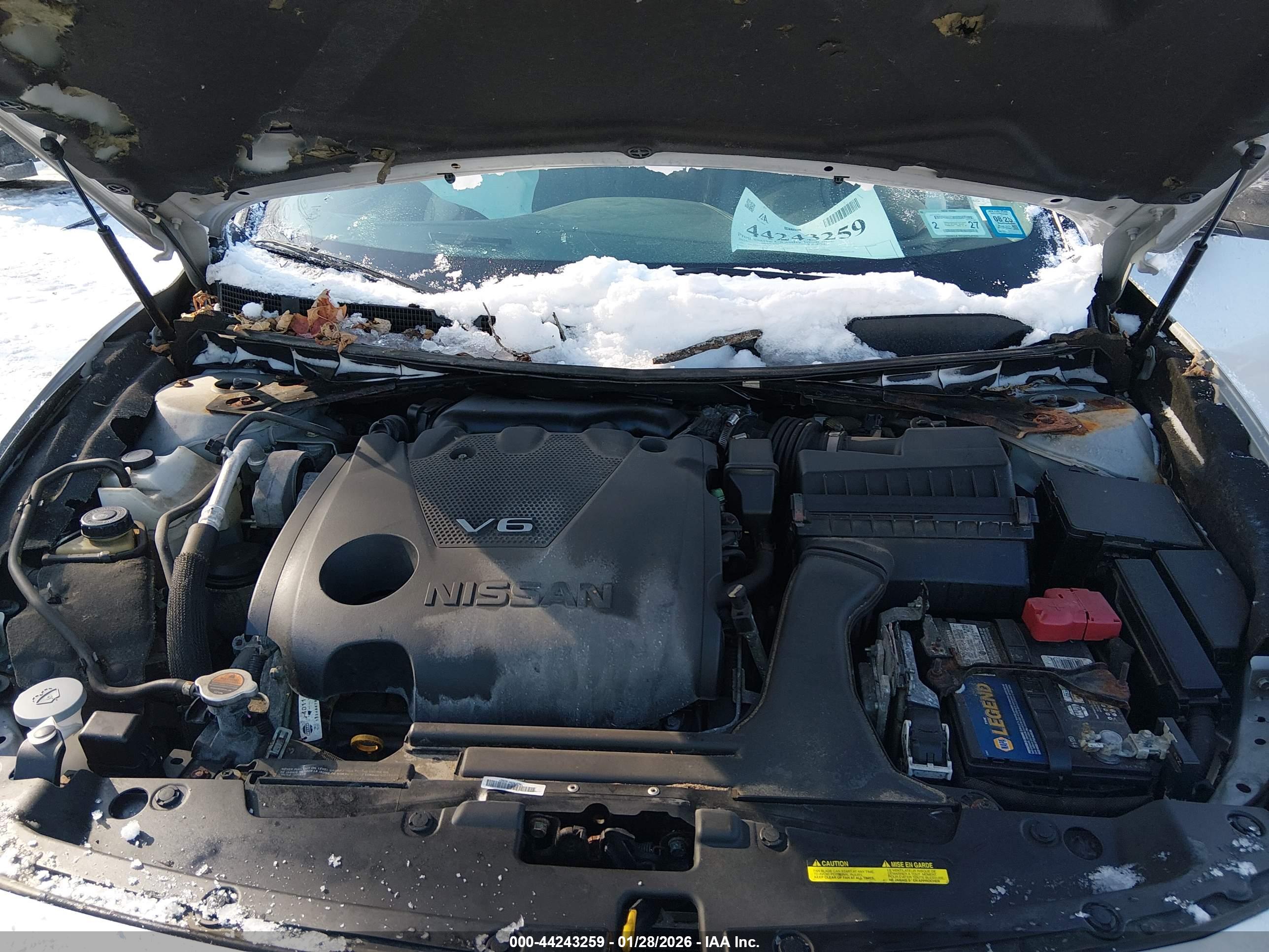 NISSAN MAXIMA image 10