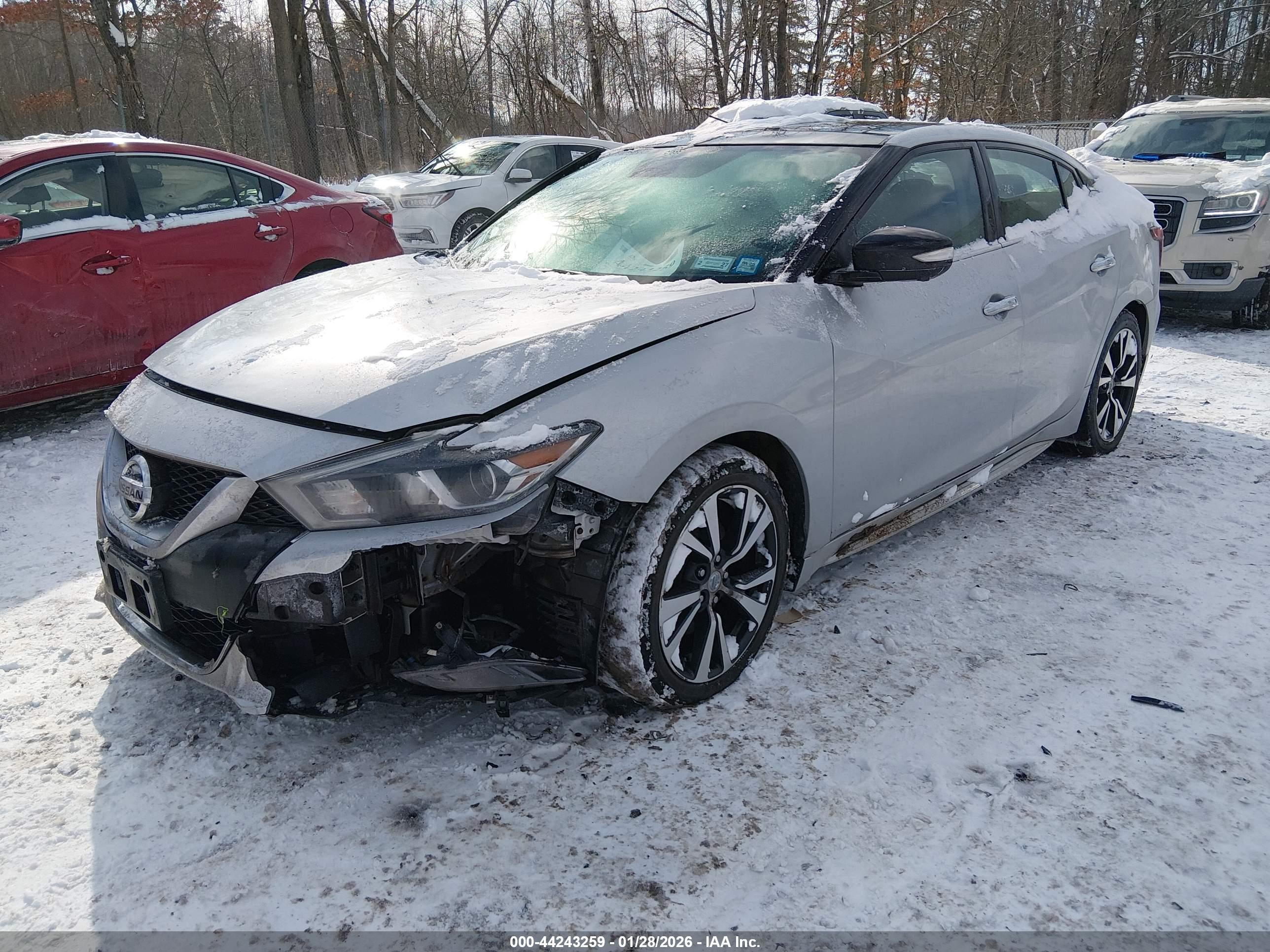 NISSAN MAXIMA image 2