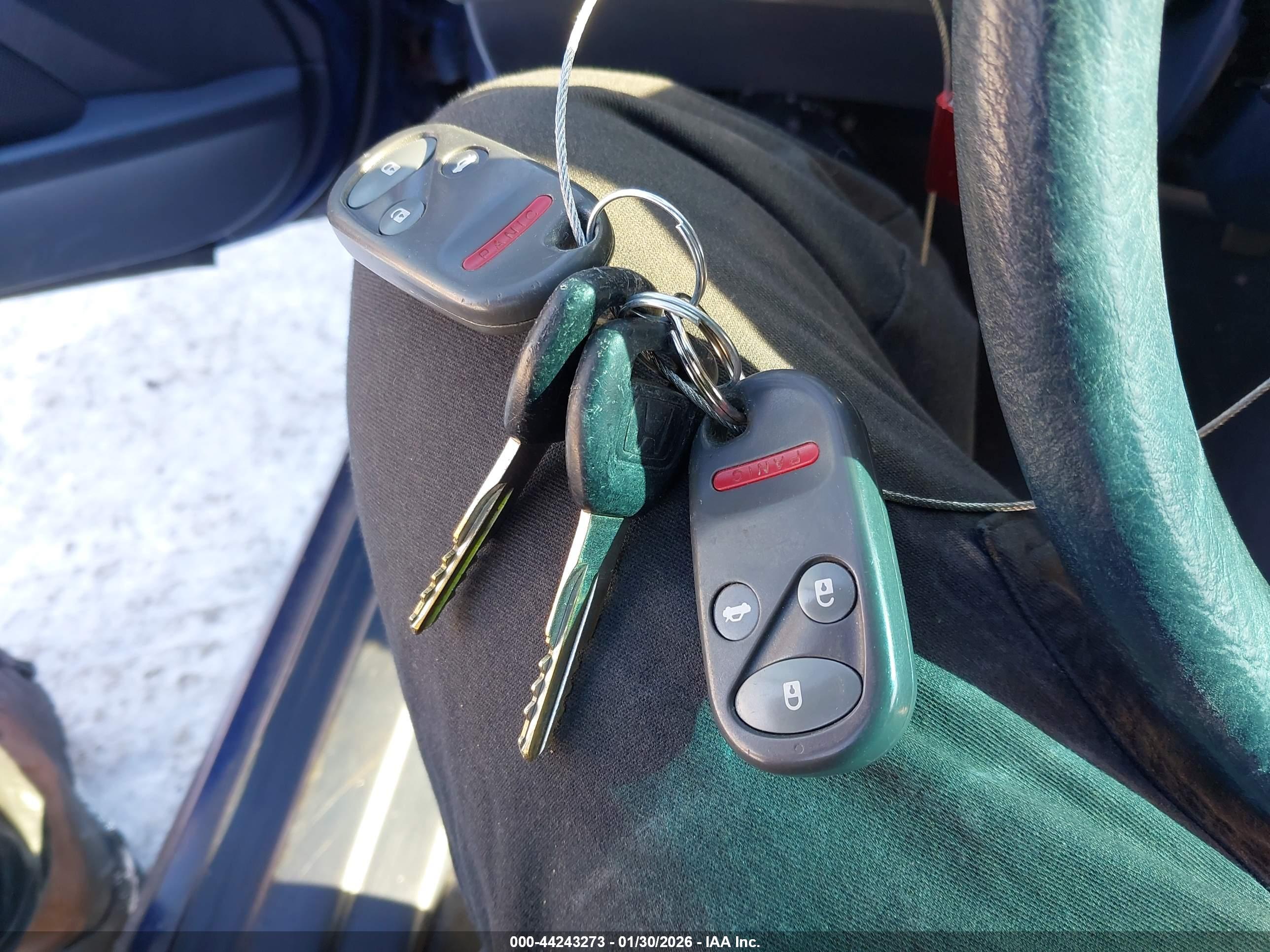 HONDA ACCORD image 11