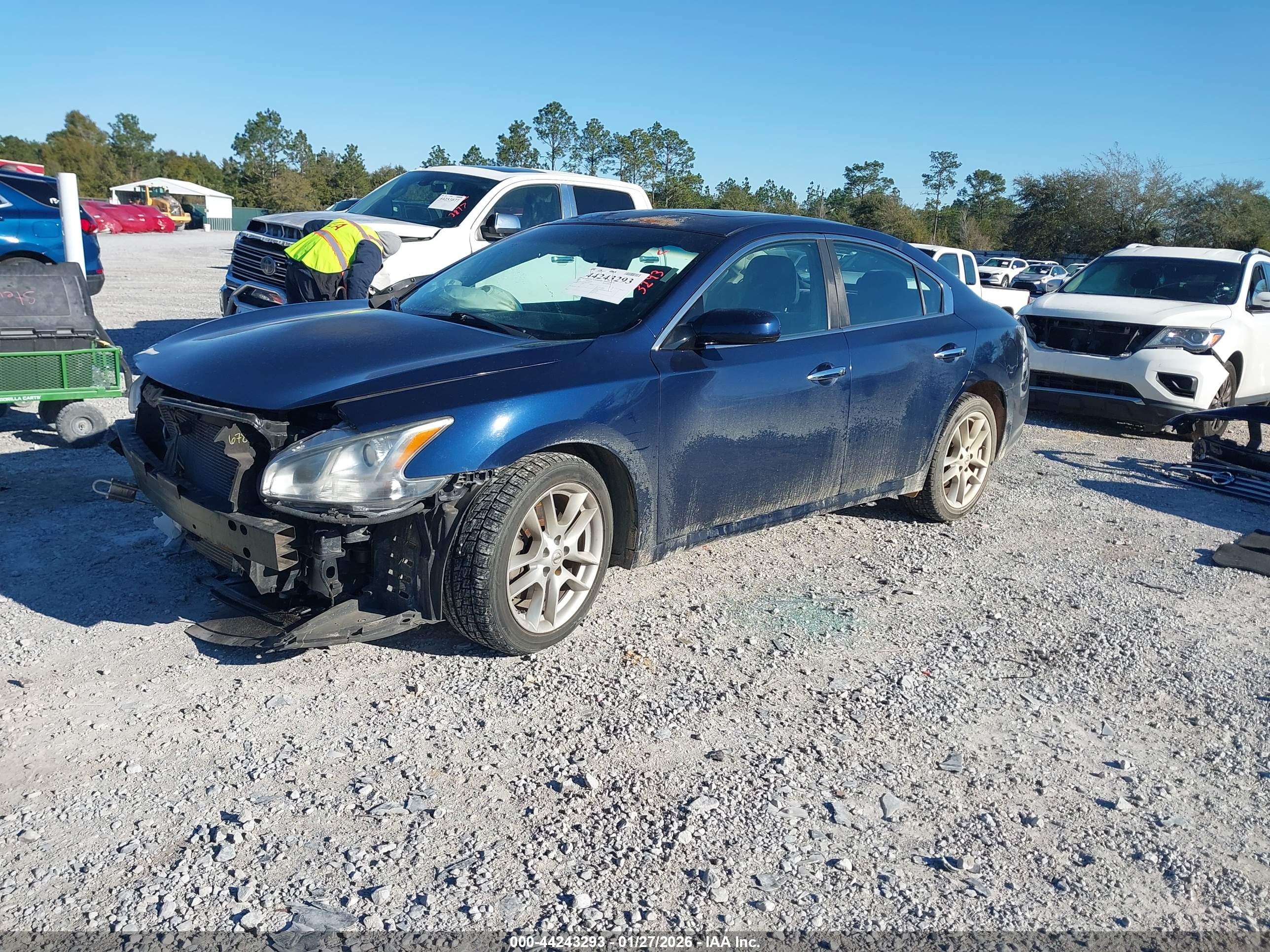 NISSAN MAXIMA image 2