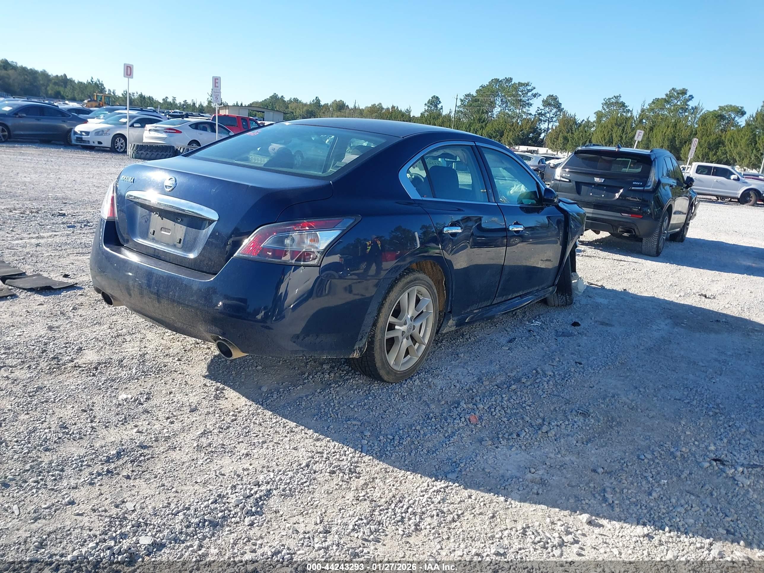 NISSAN MAXIMA image 4