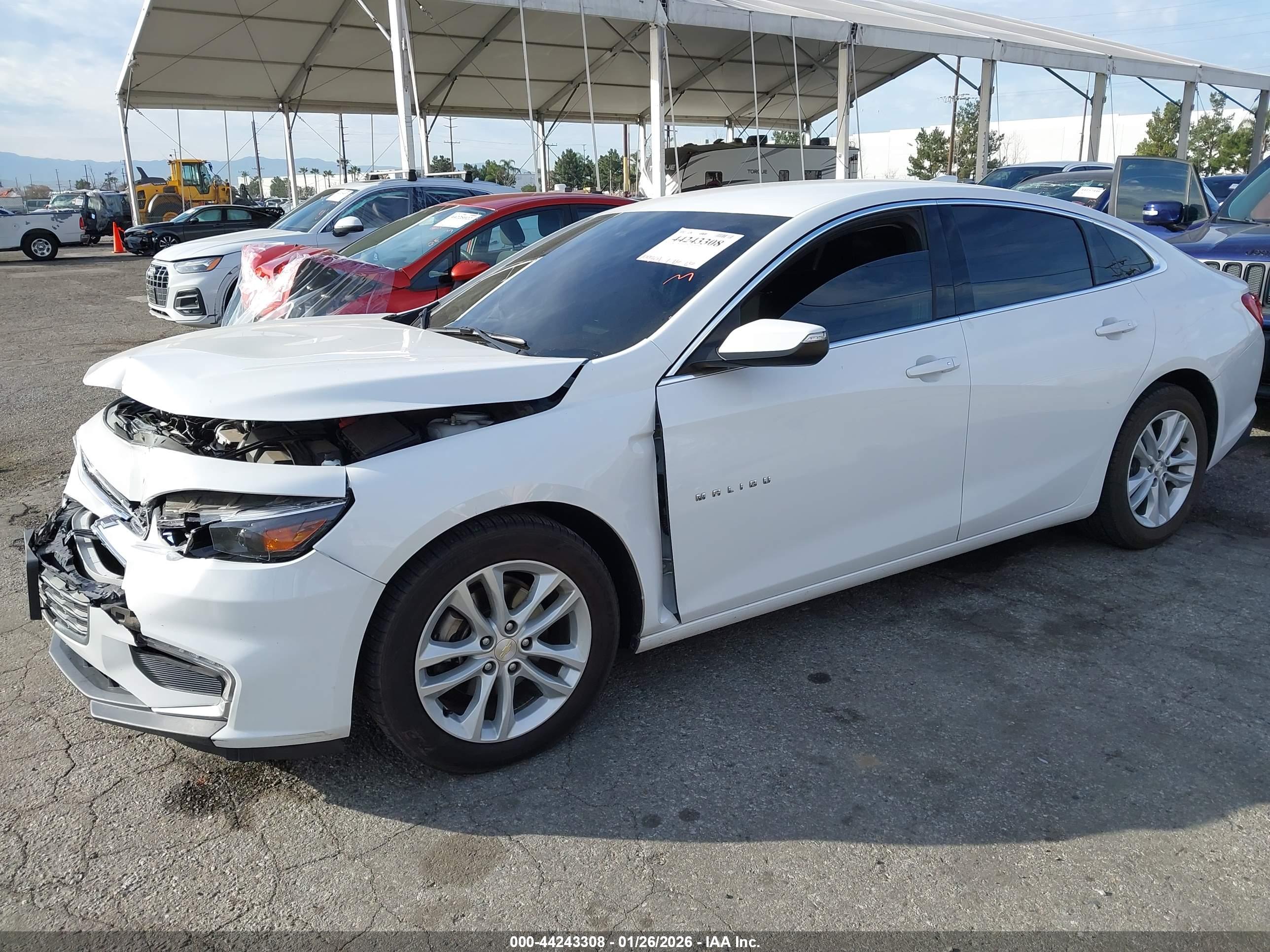 CHEVROLET MALIBU image 2