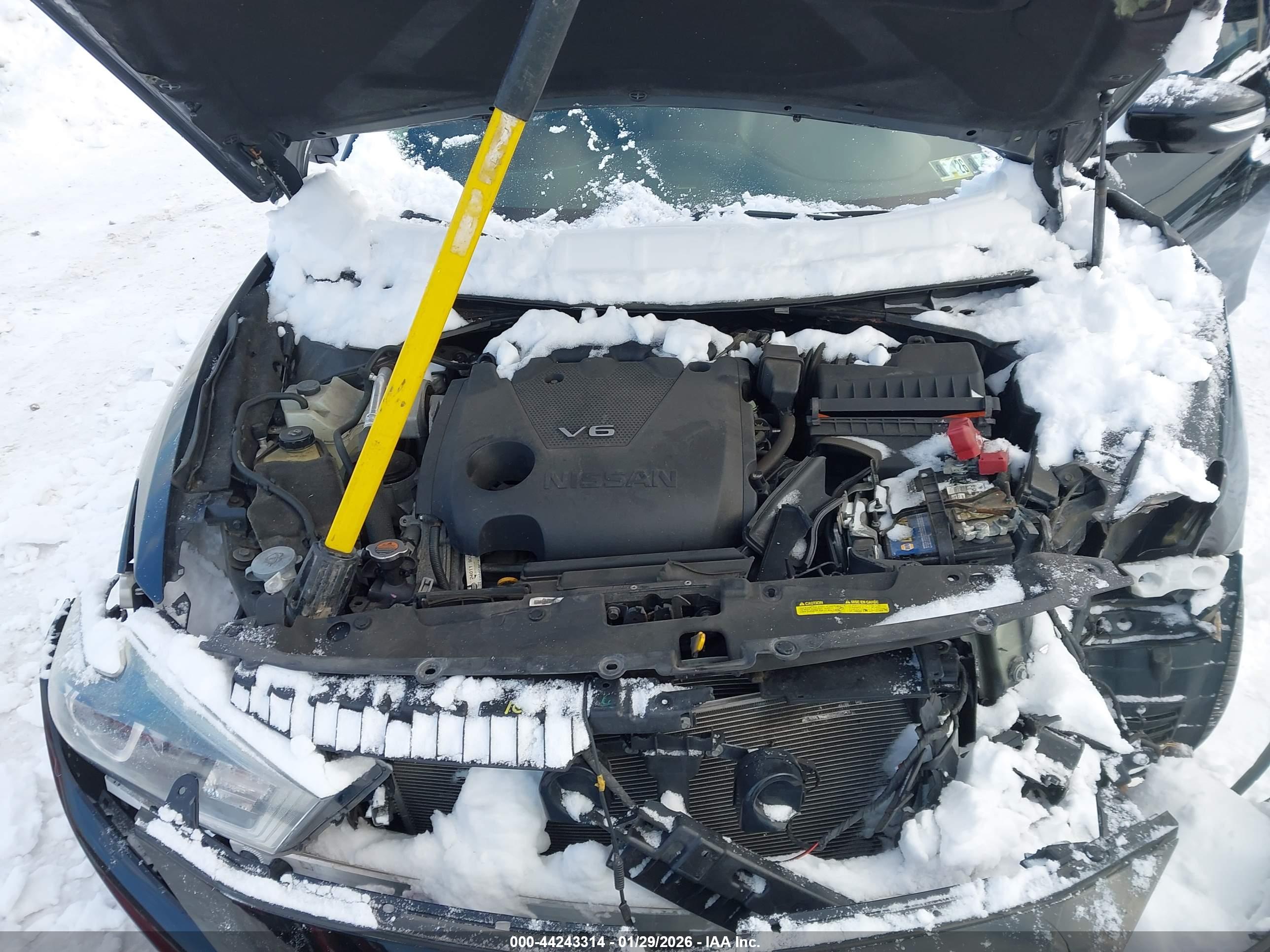 NISSAN MAXIMA image 10