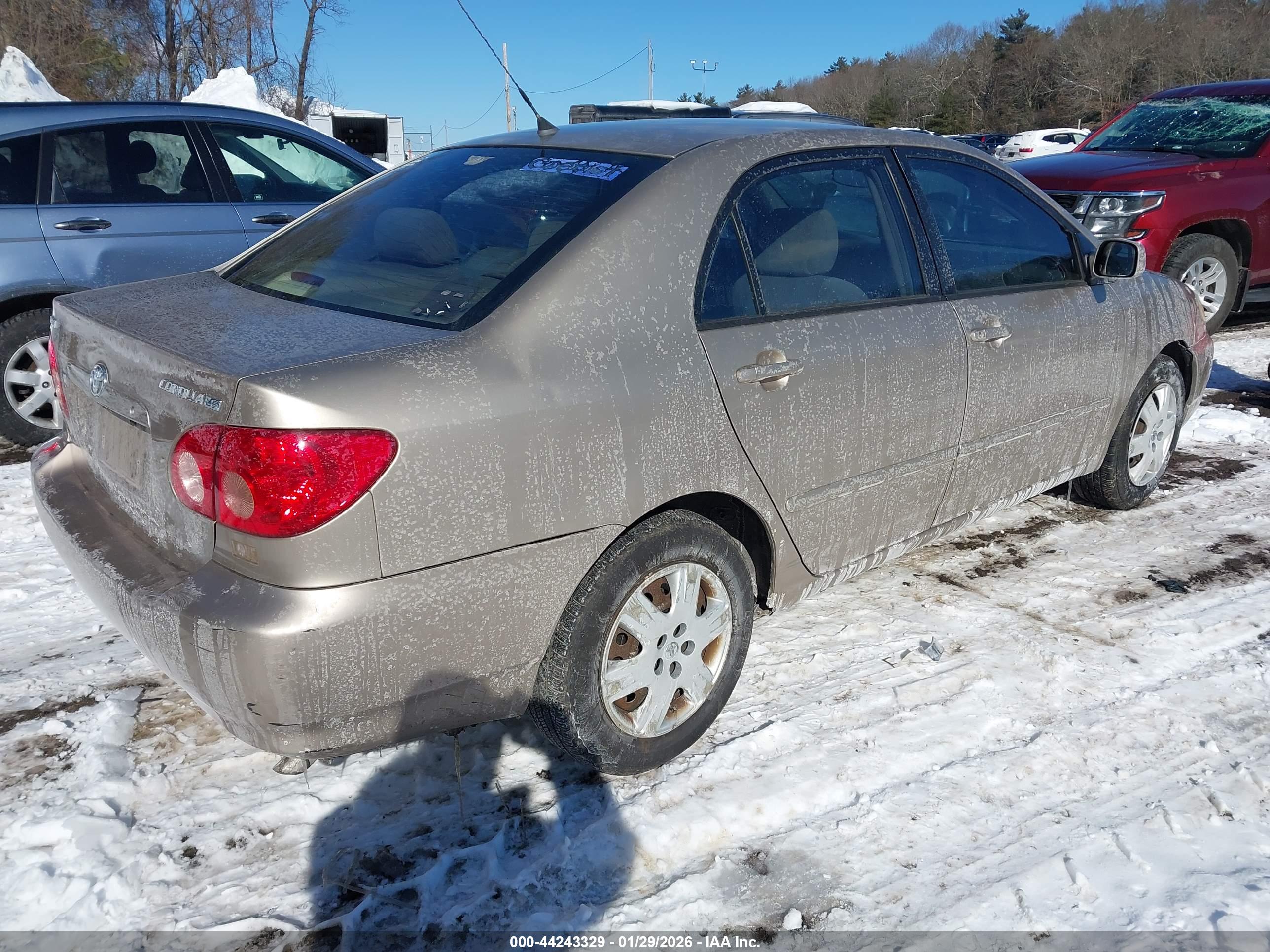 TOYOTA COROLLA image 4