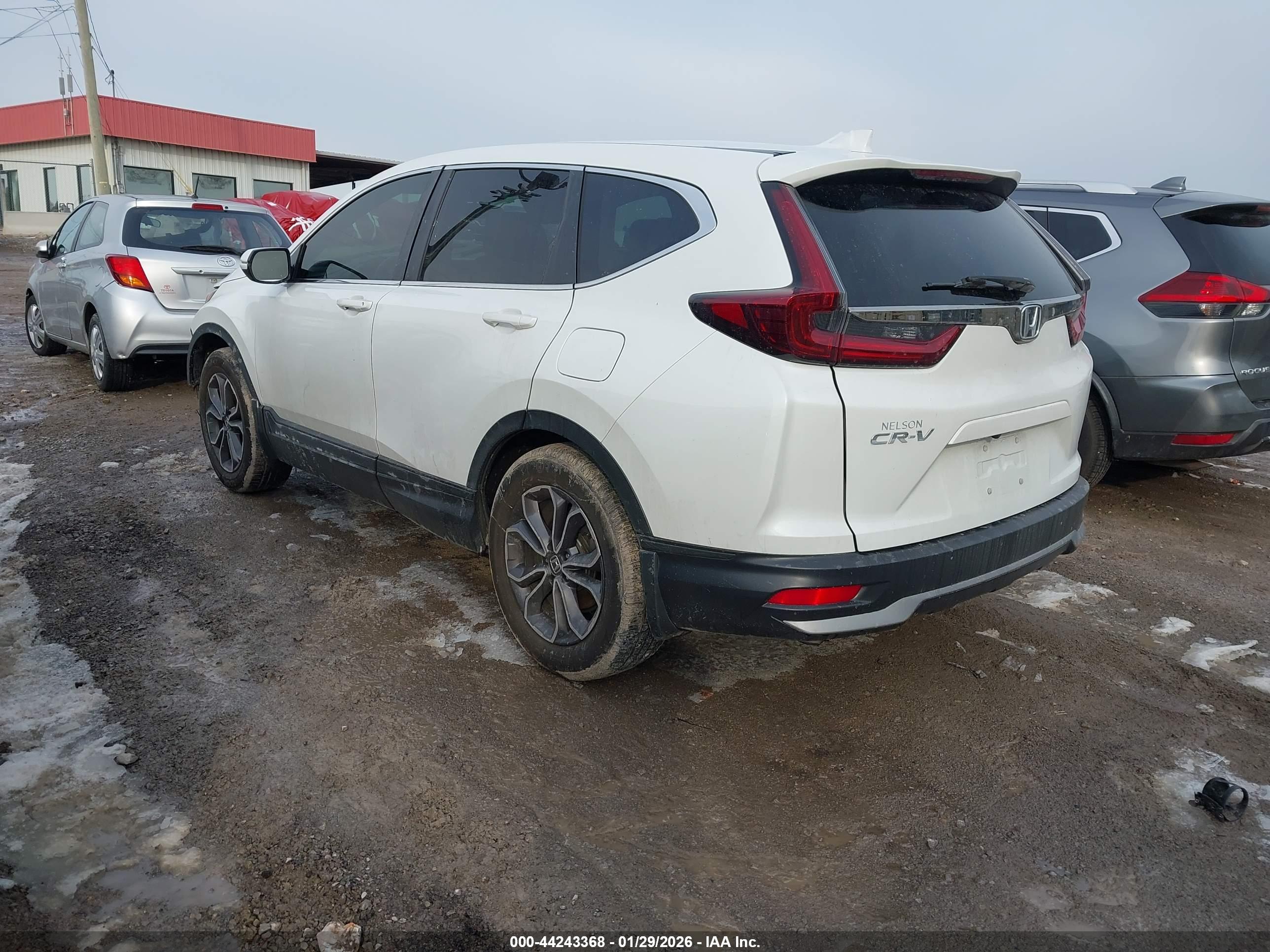 HONDA CR-V image 3