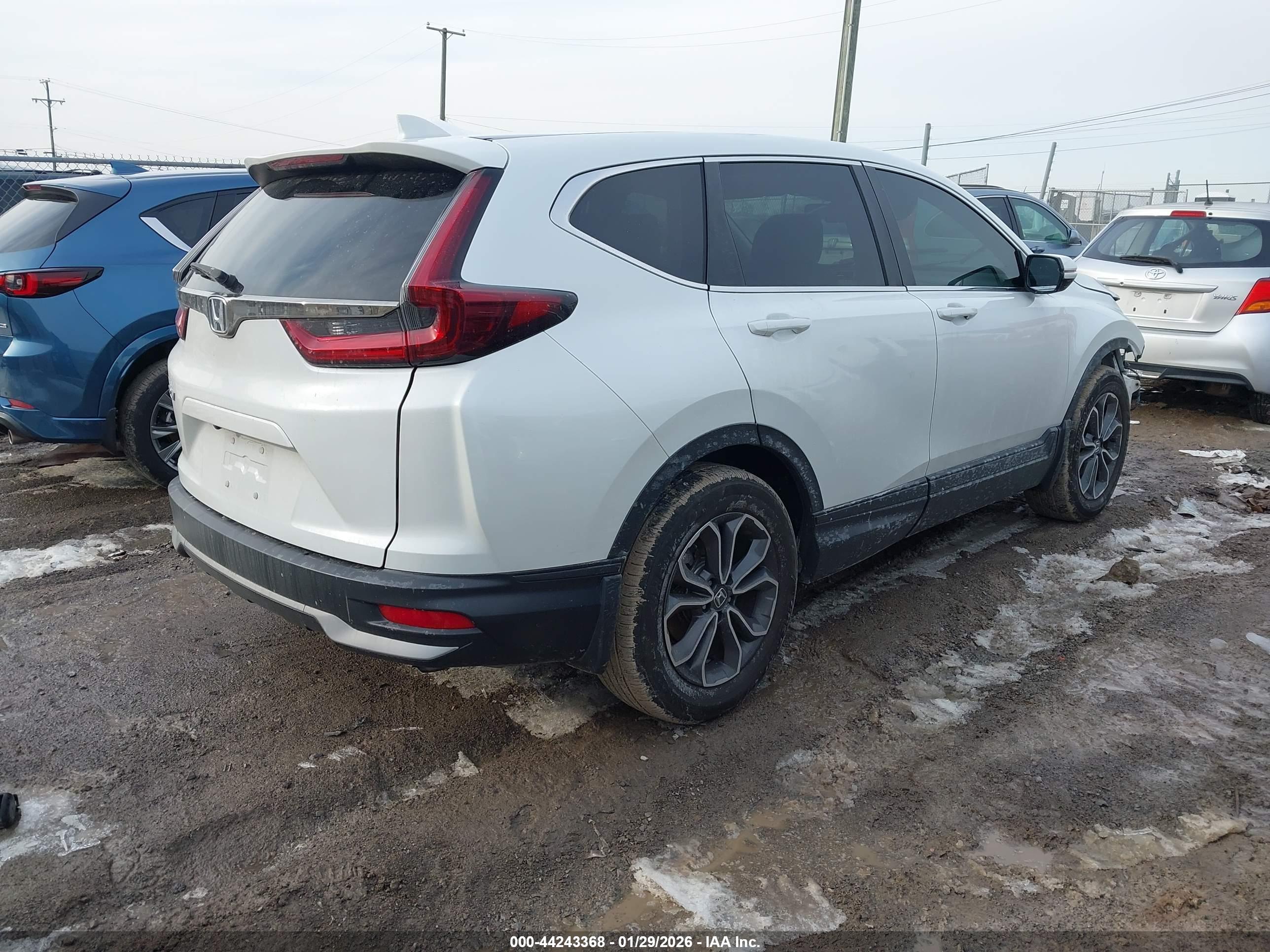 HONDA CR-V image 4