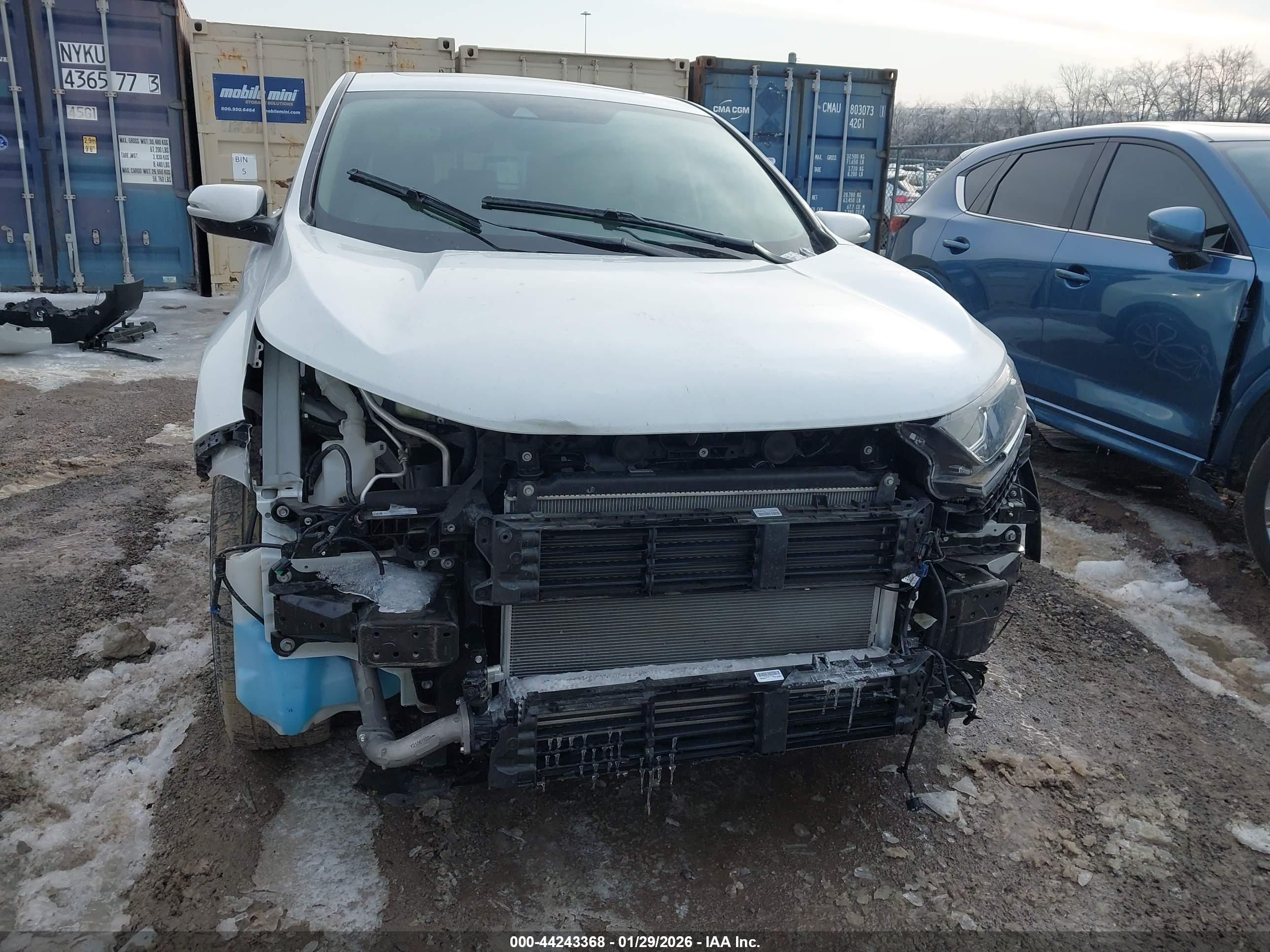 HONDA CR-V image 6