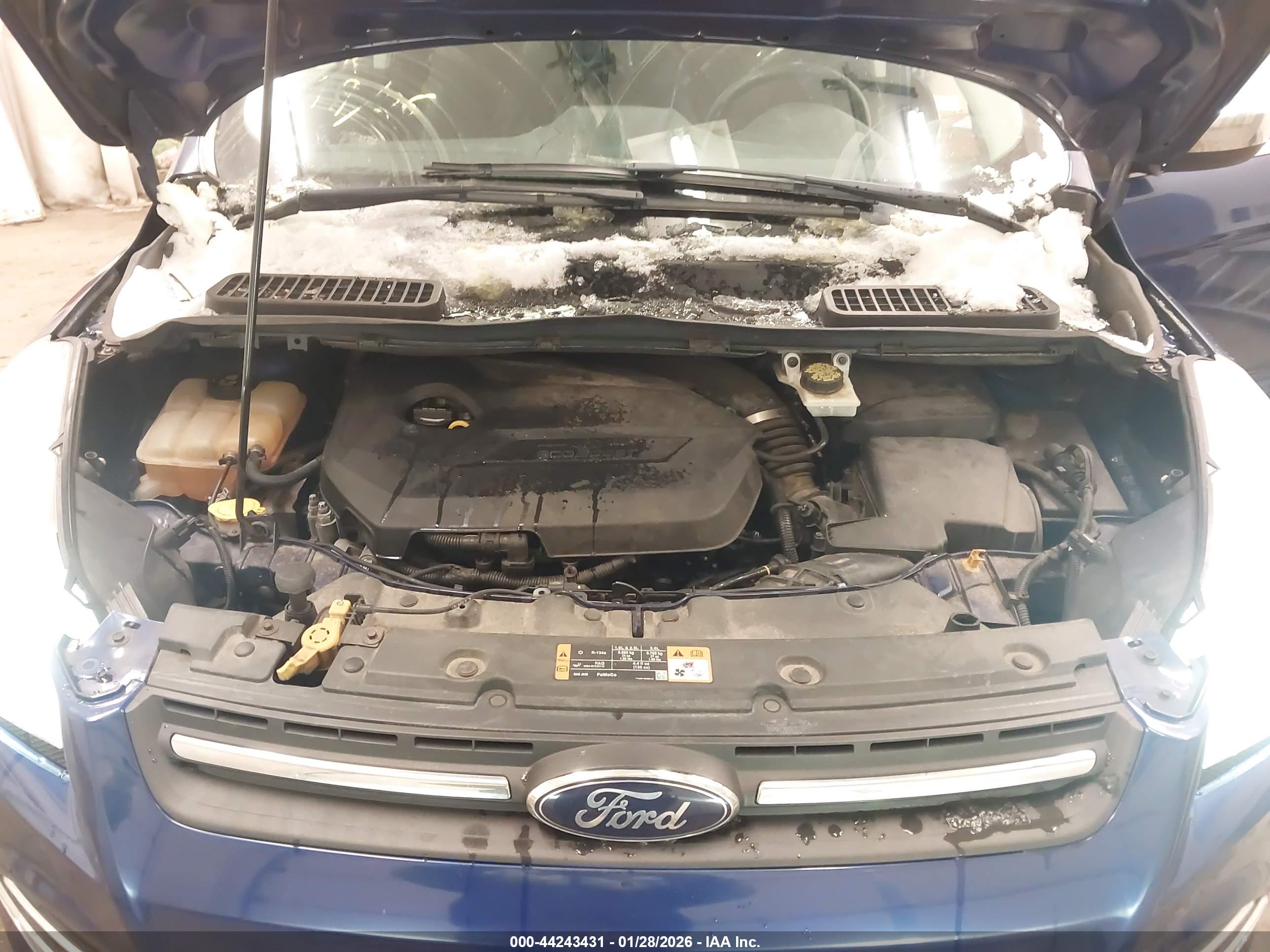FORD ESCAPE image 10