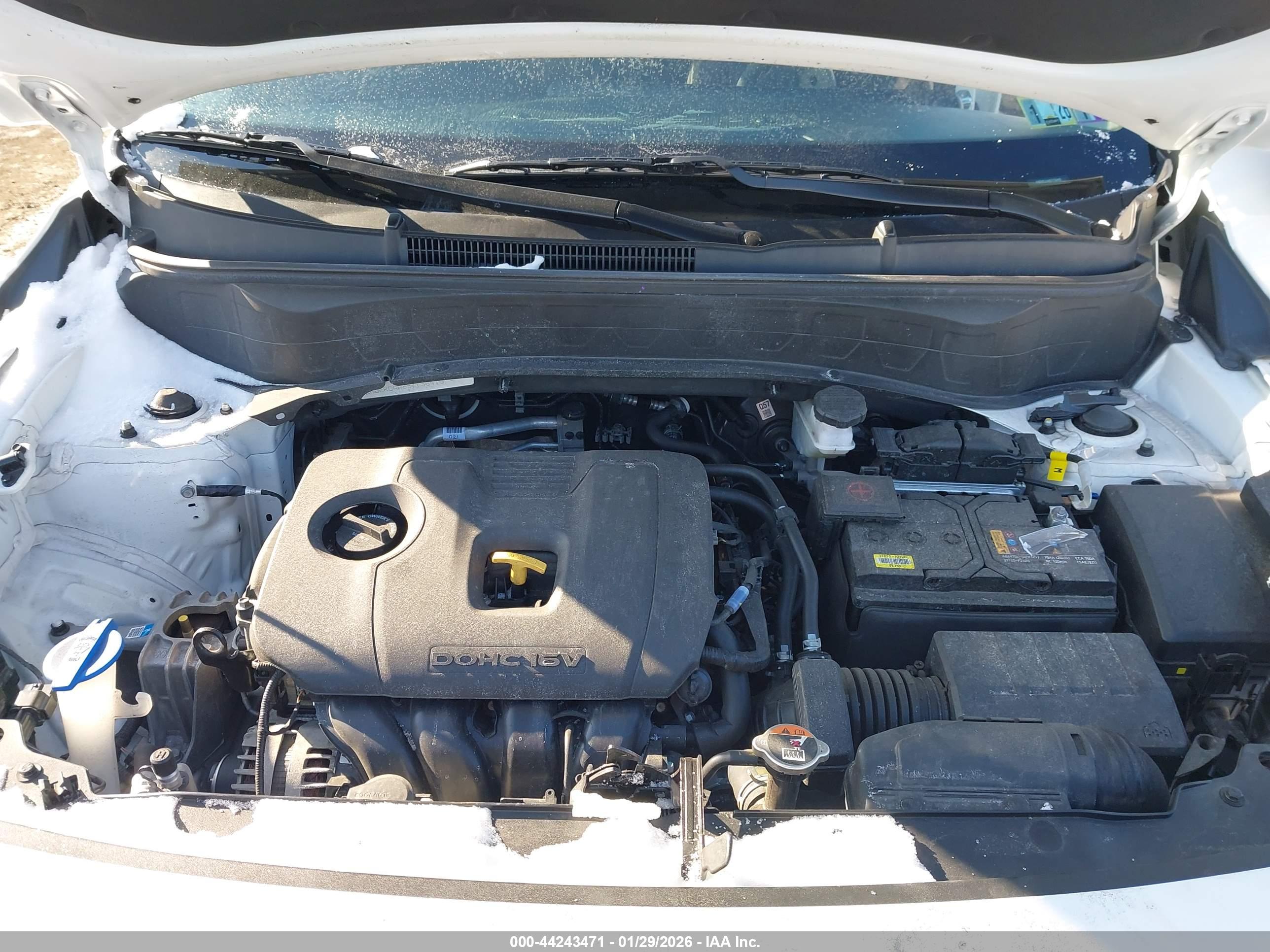 KIA SELTOS image 10