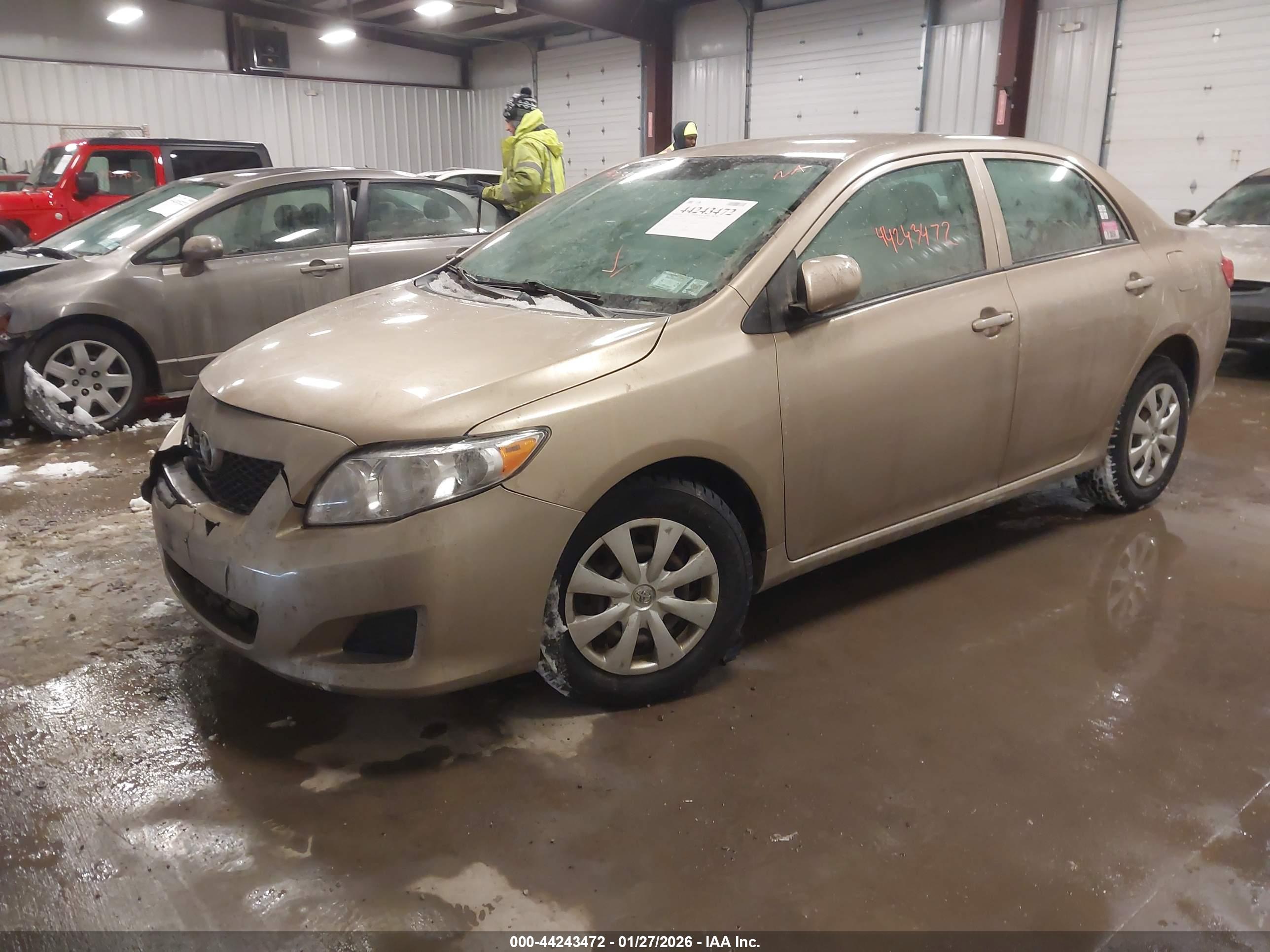 TOYOTA COROLLA image 2