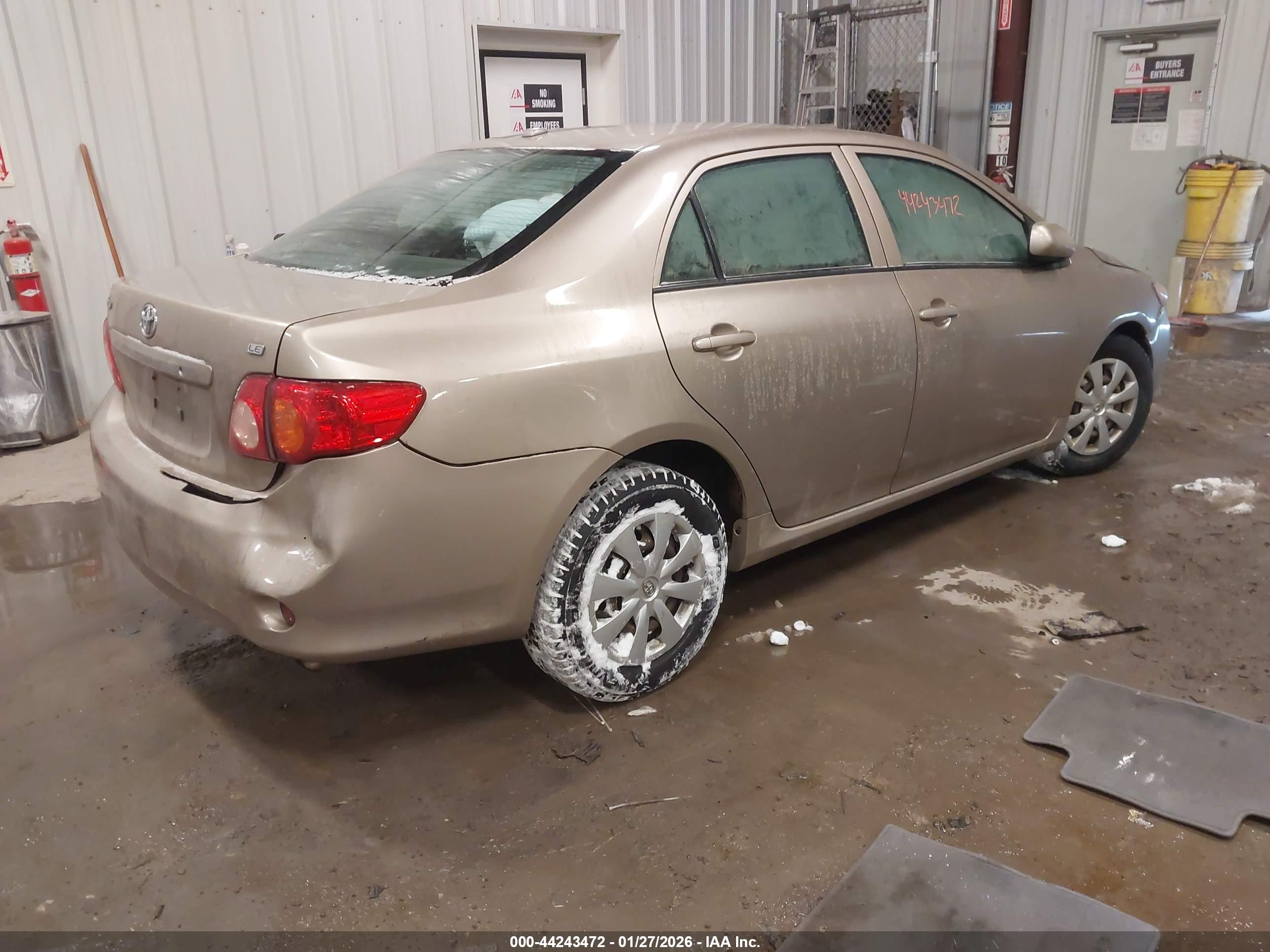 TOYOTA COROLLA image 4