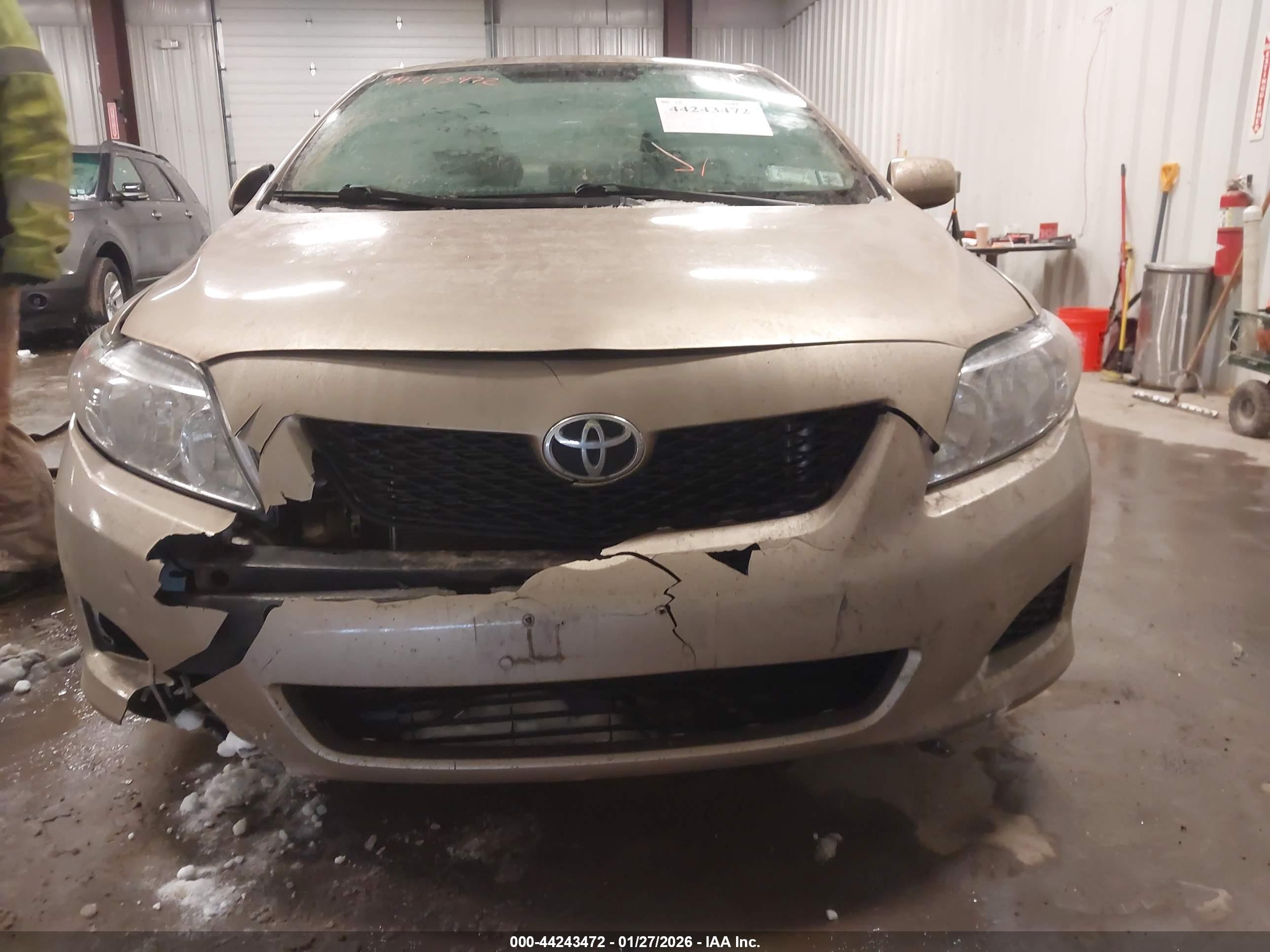 TOYOTA COROLLA image 6