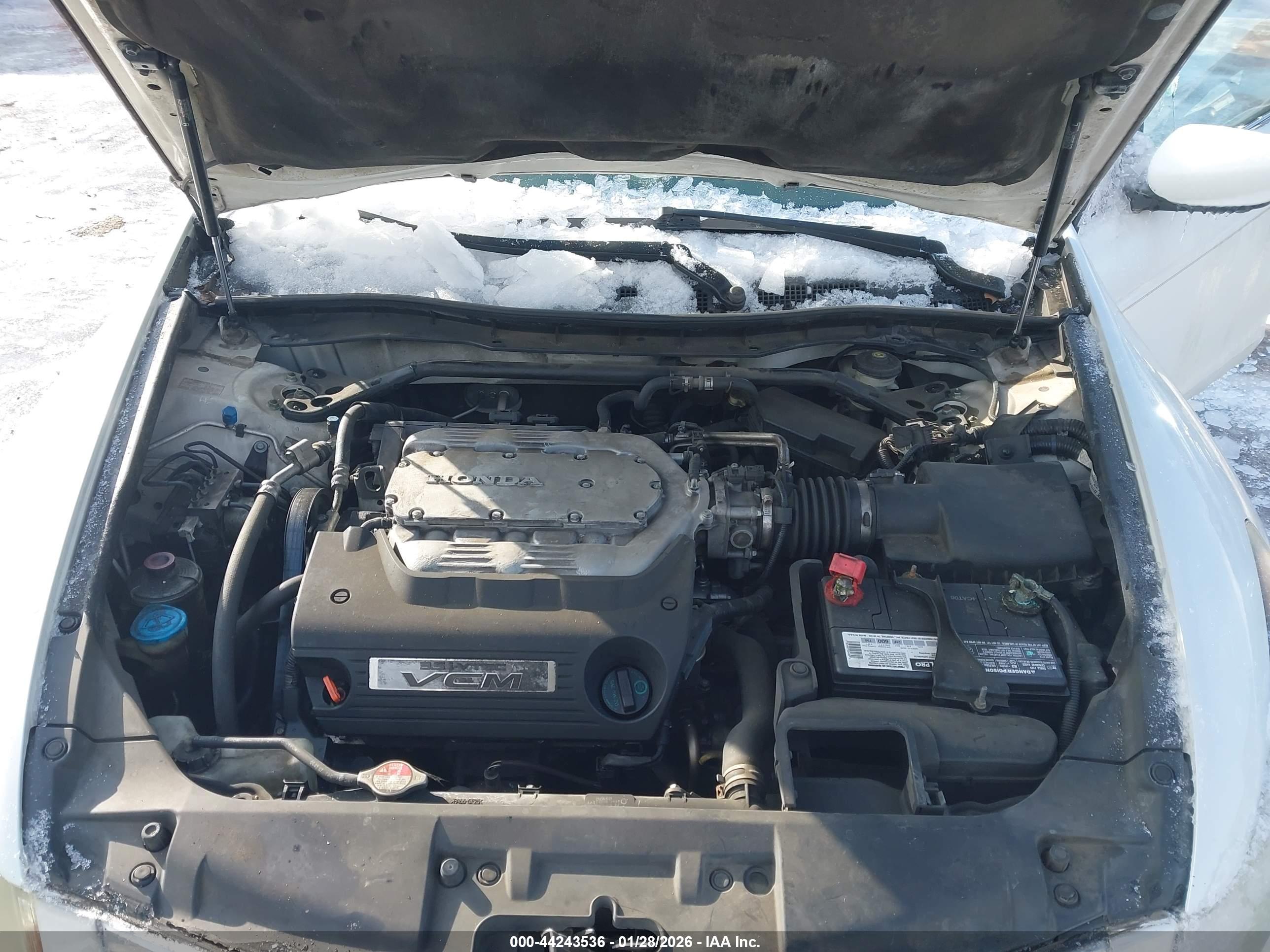 HONDA ACCORD image 10