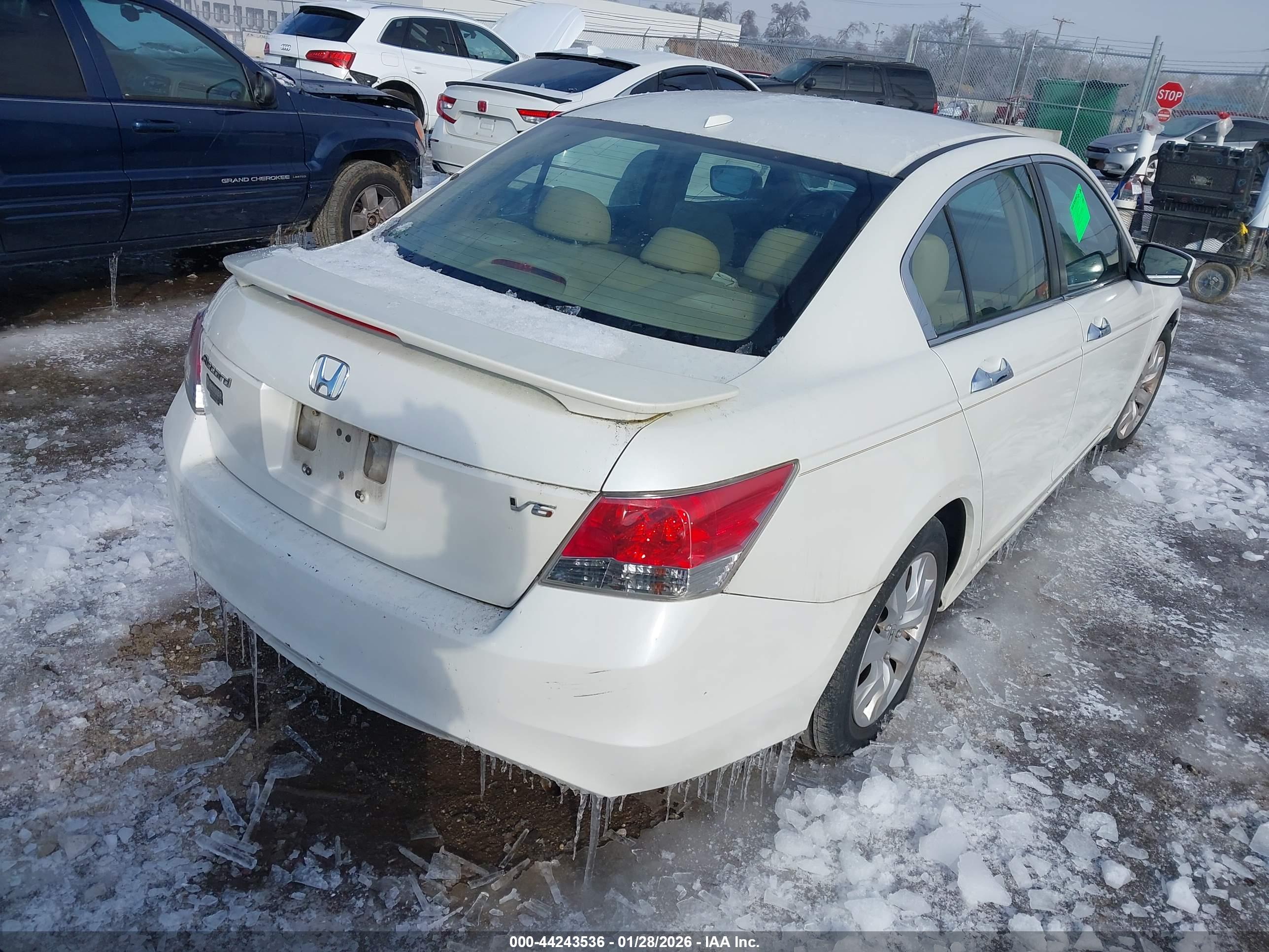 HONDA ACCORD image 4
