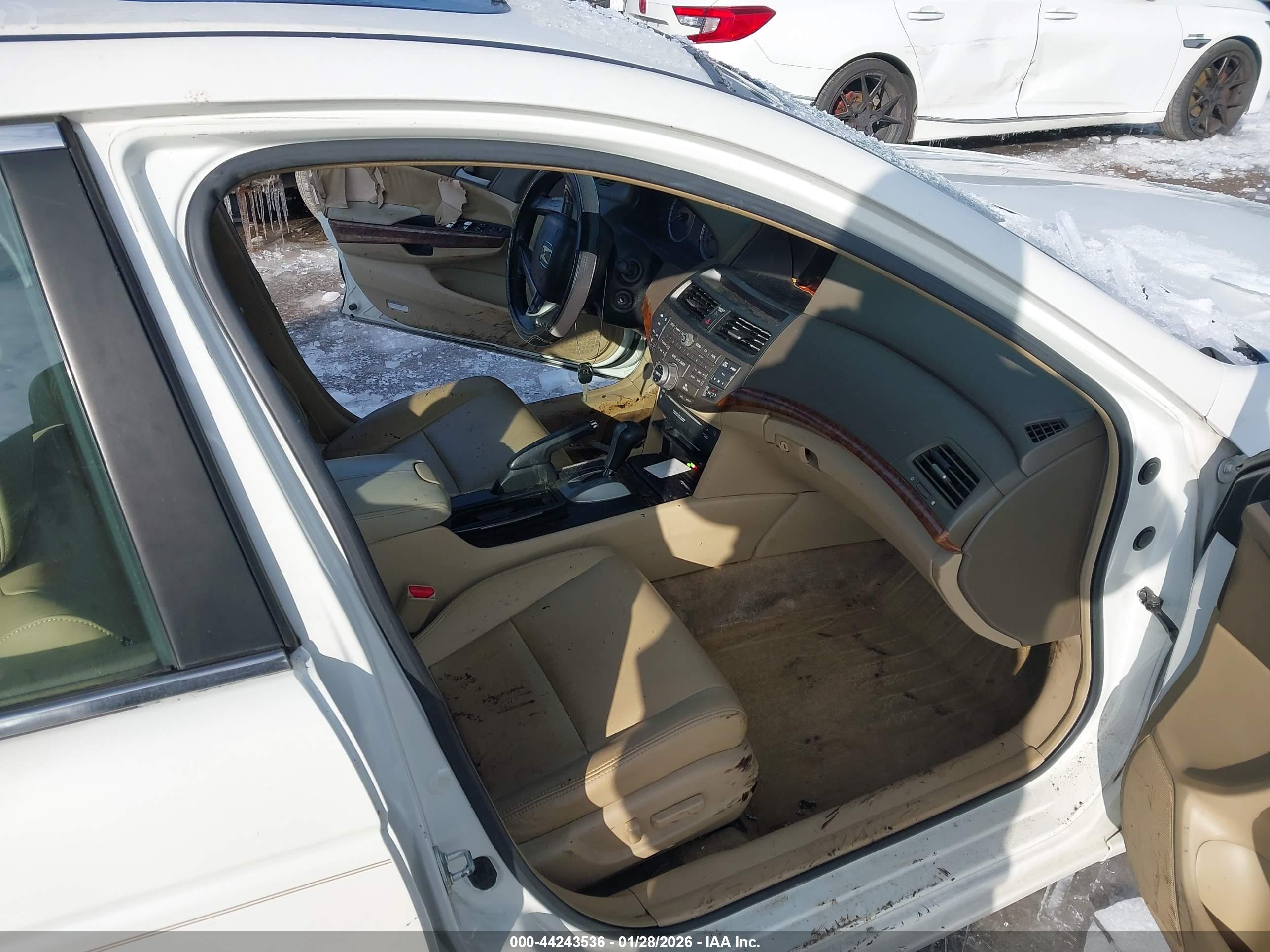 HONDA ACCORD image 5