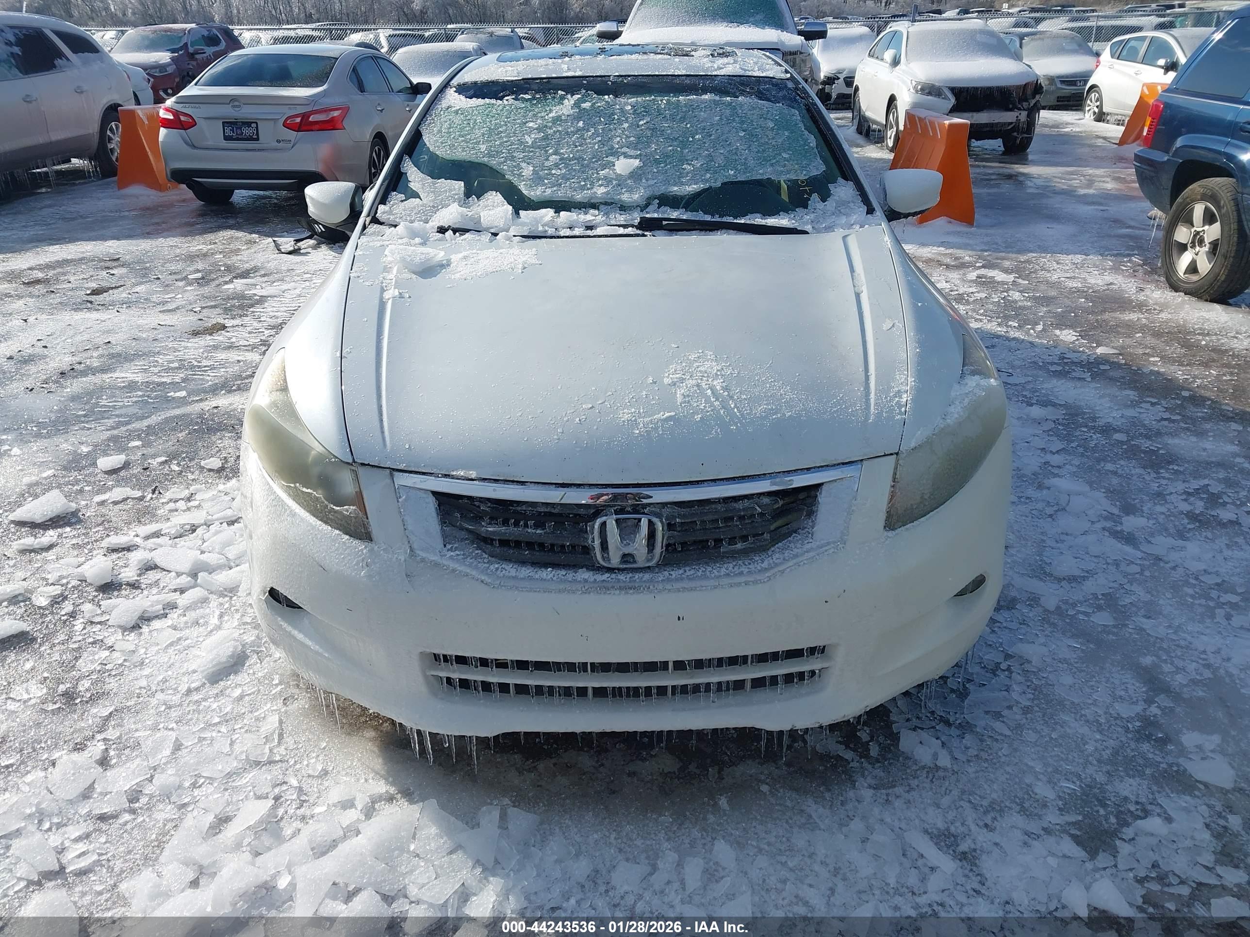 HONDA ACCORD image 6
