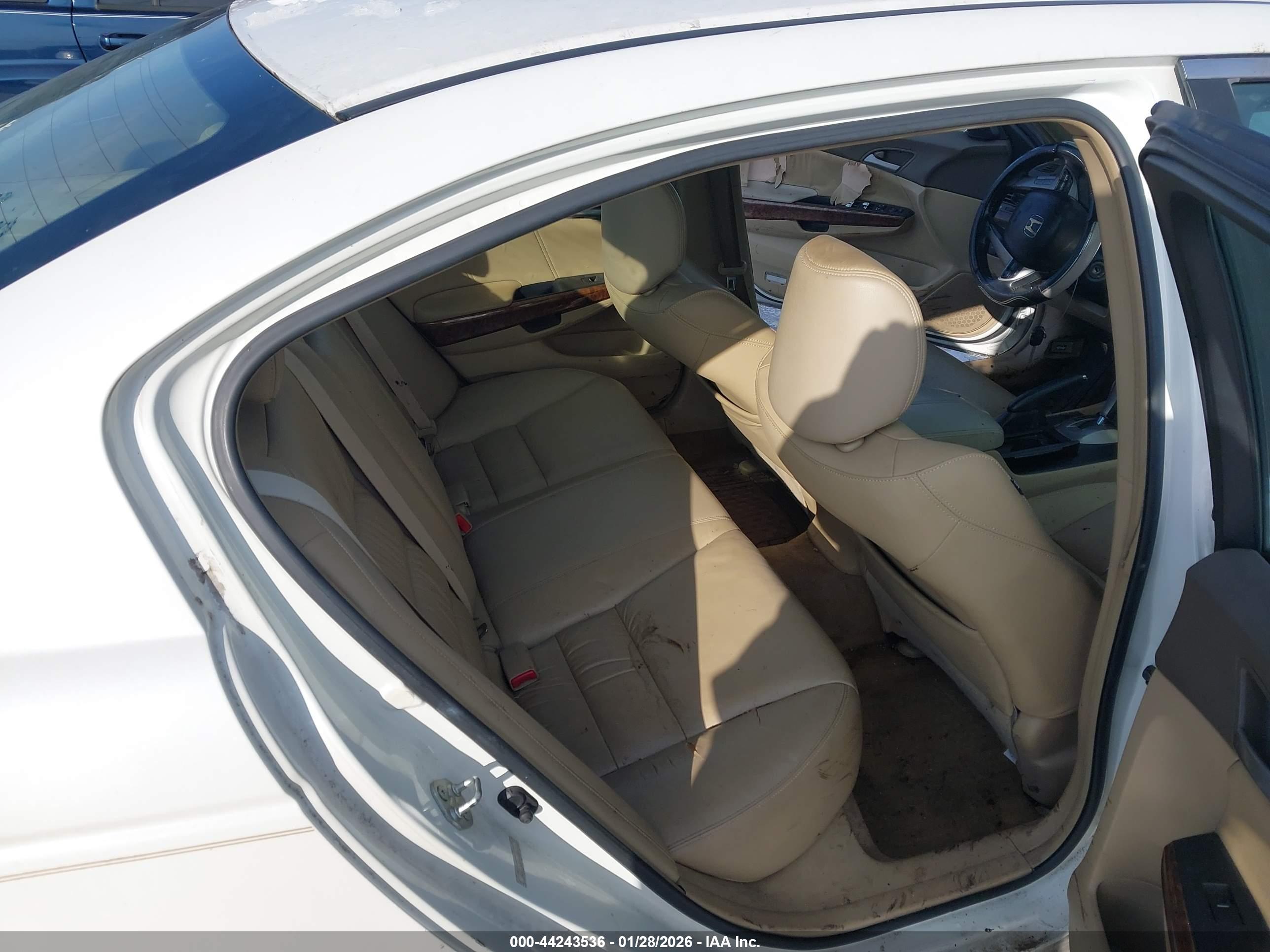 HONDA ACCORD image 8