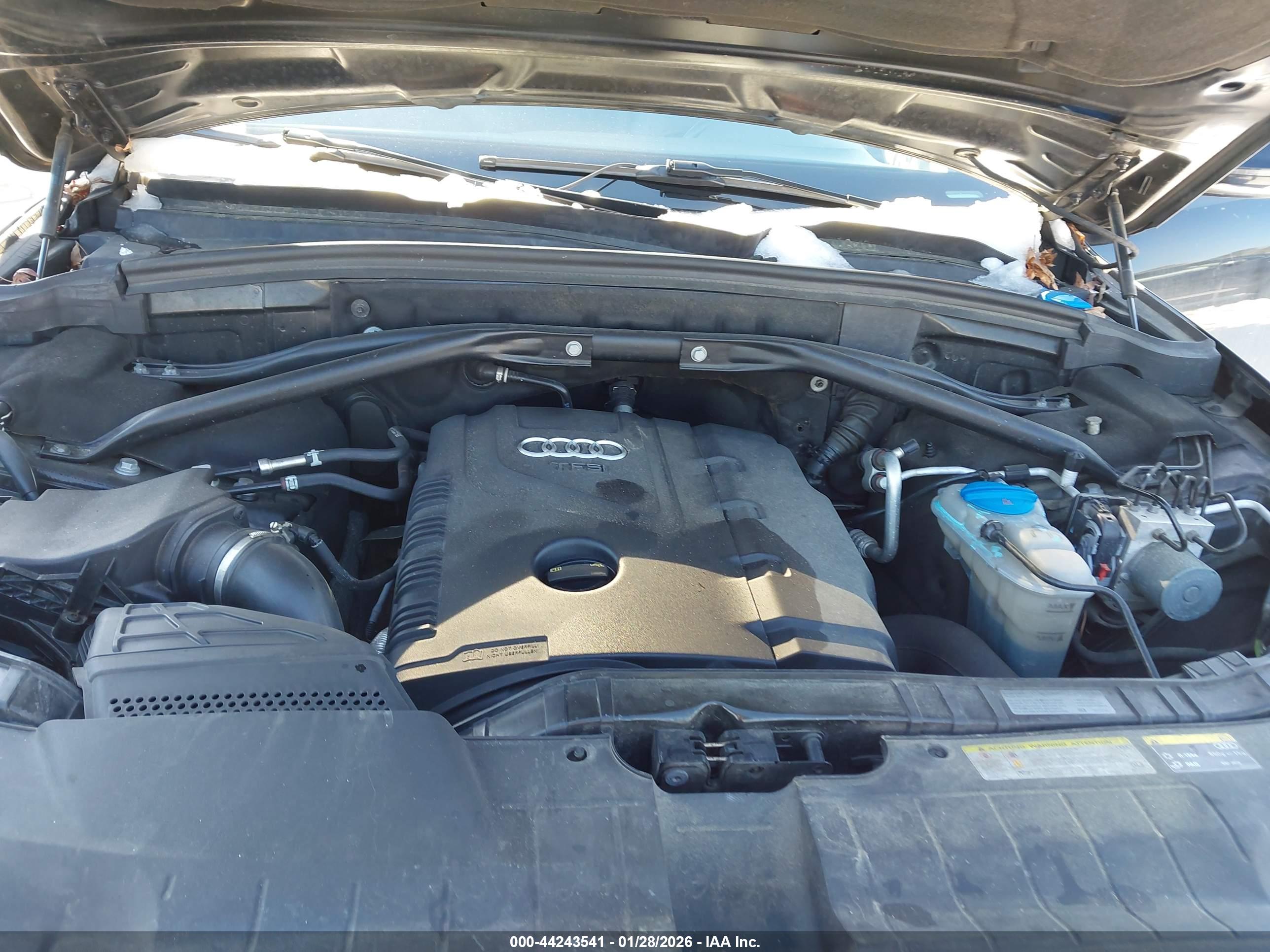 AUDI Q5 image 10
