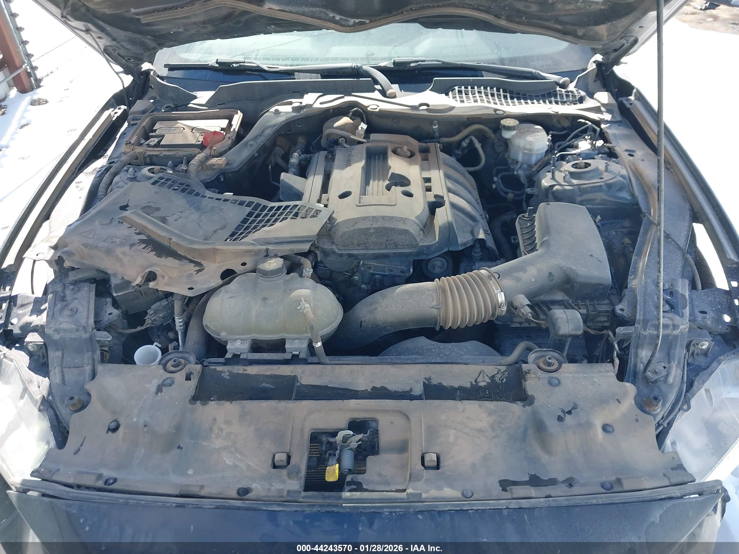 FORD MUSTANG image 10