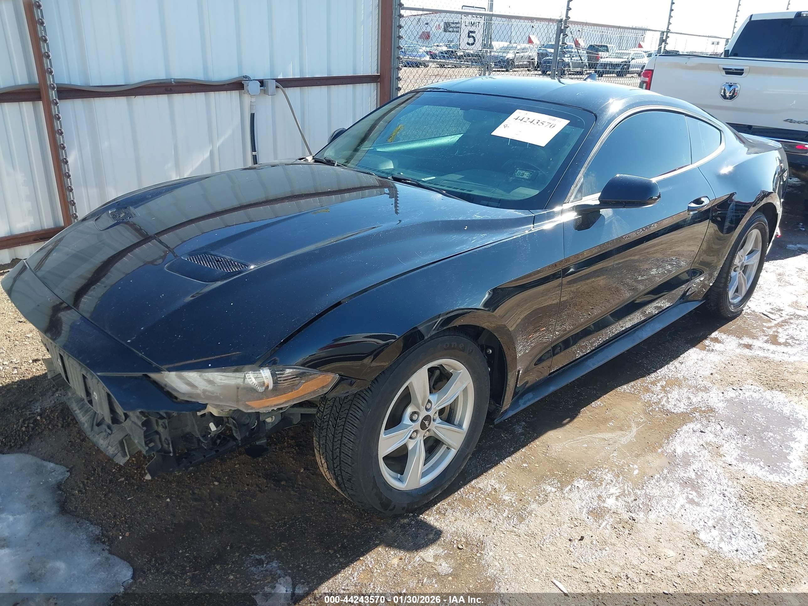 FORD MUSTANG image 2