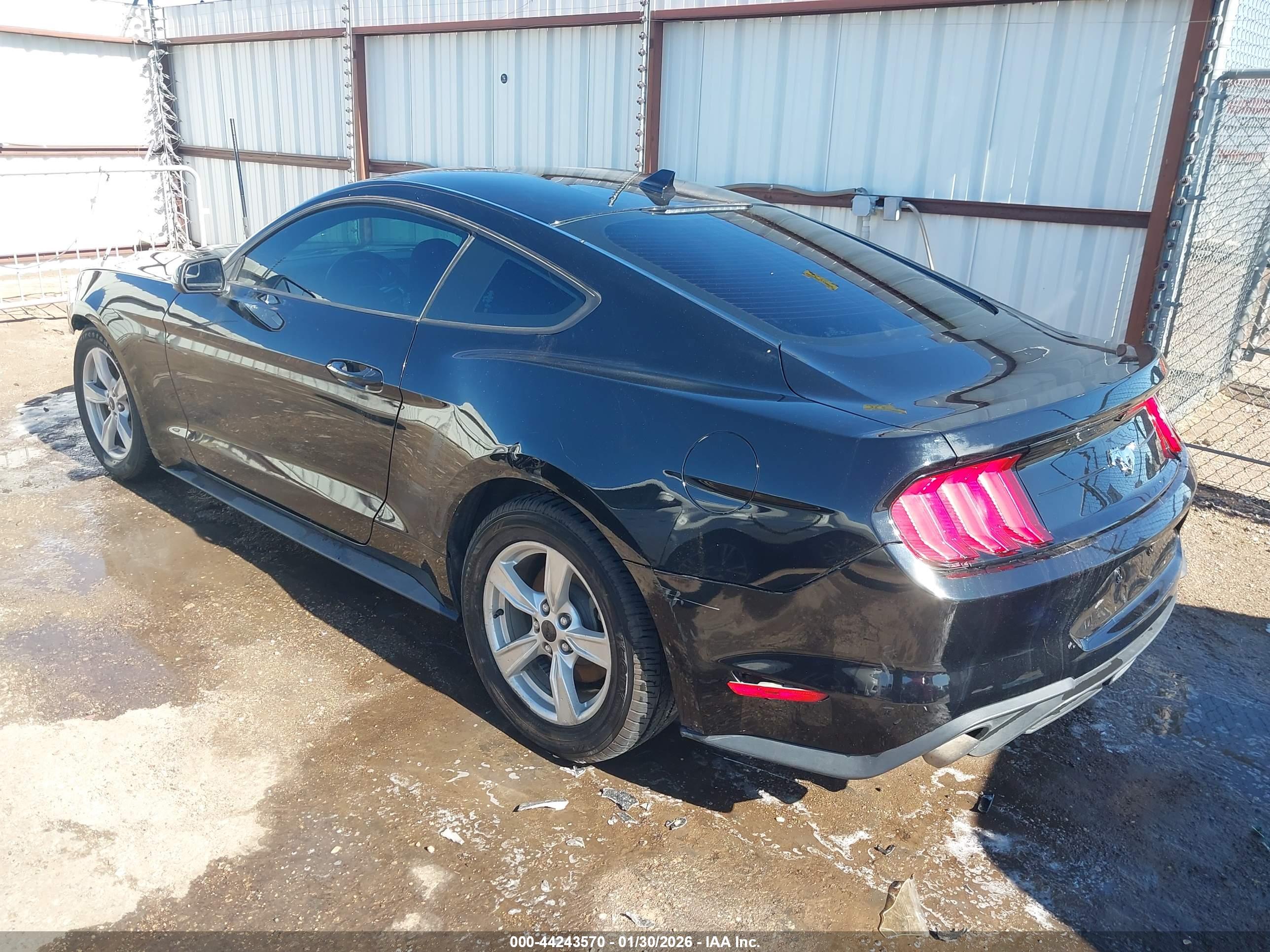 FORD MUSTANG image 3
