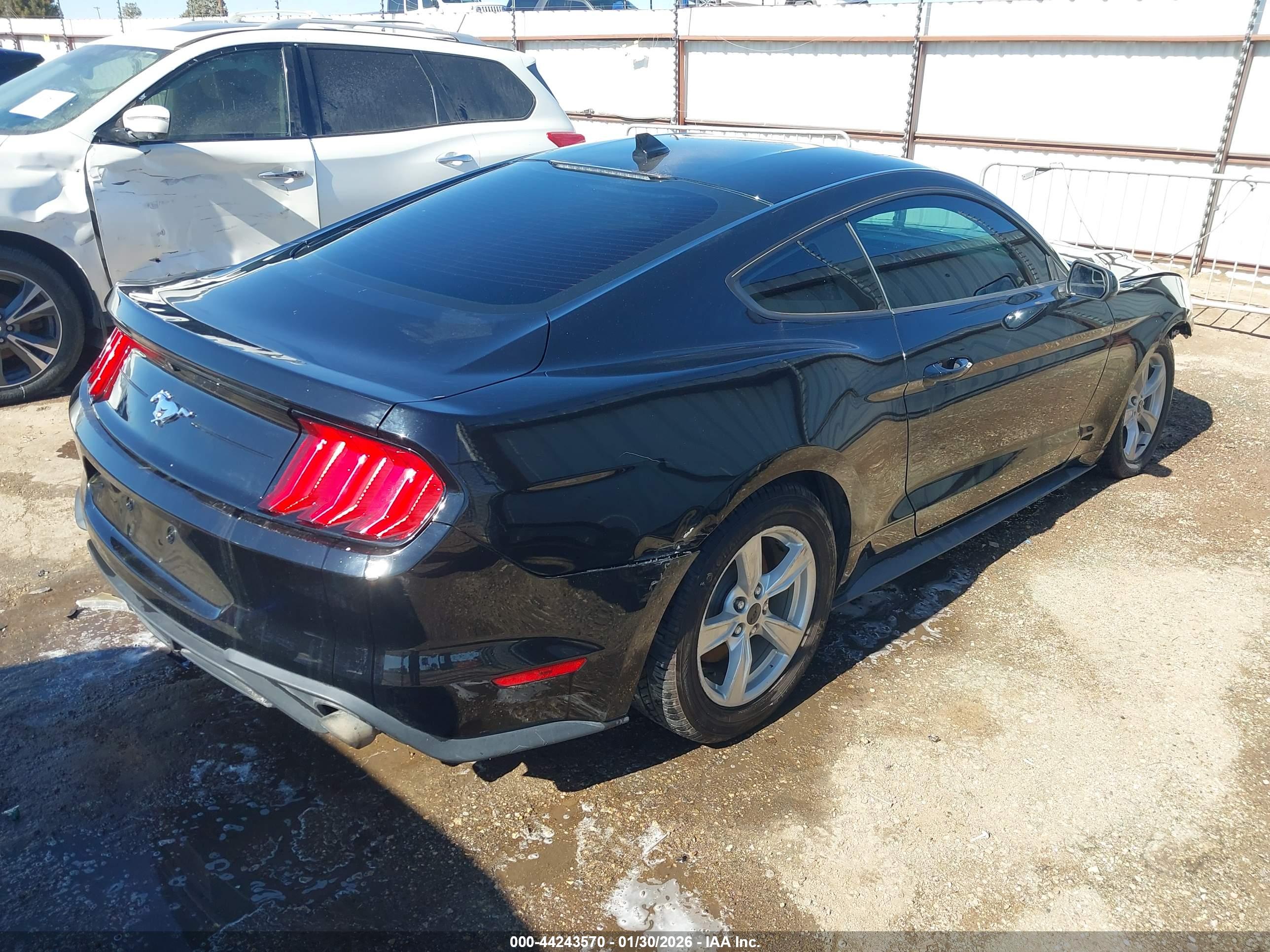 FORD MUSTANG image 4