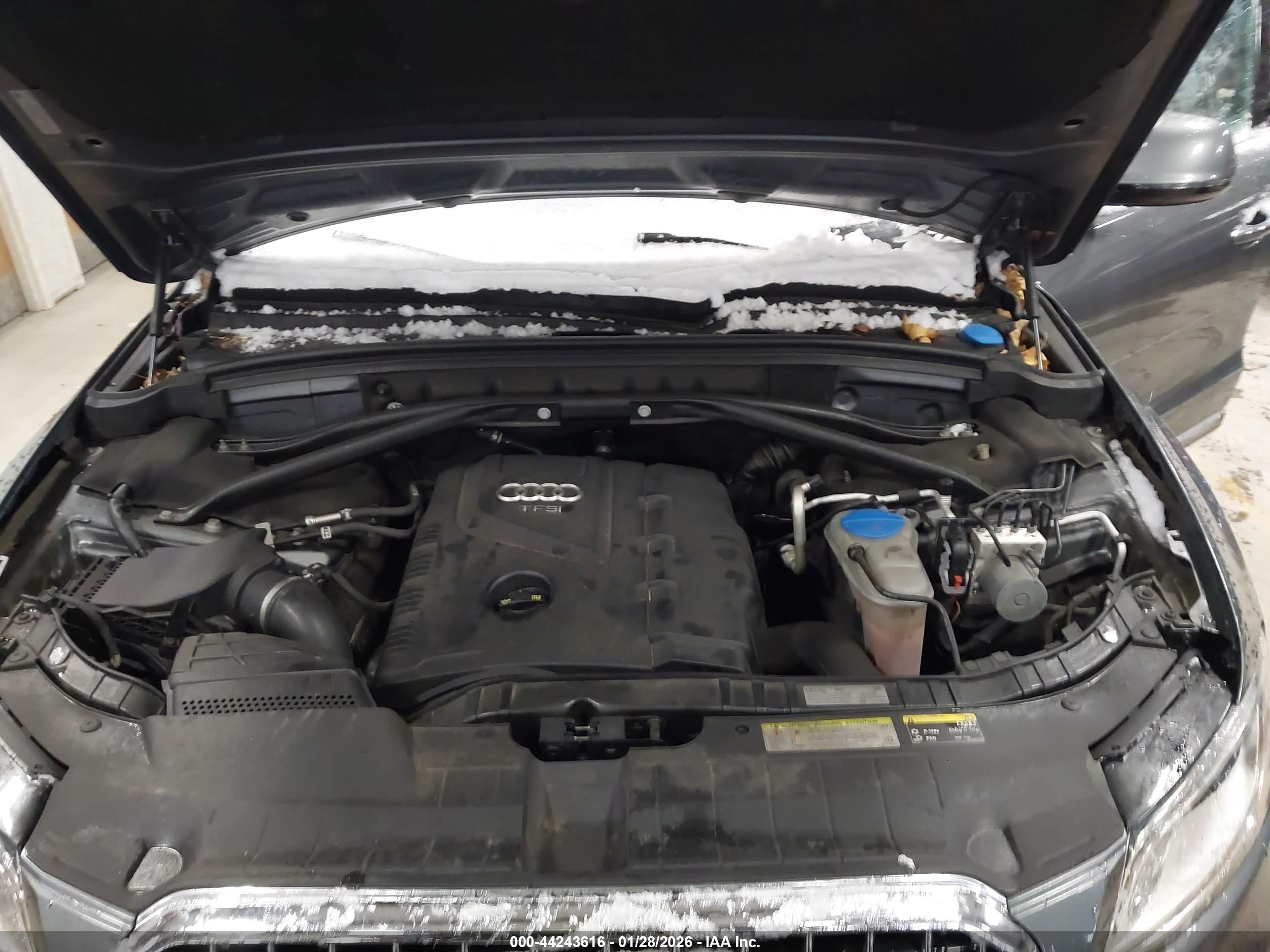 AUDI Q5 image 10