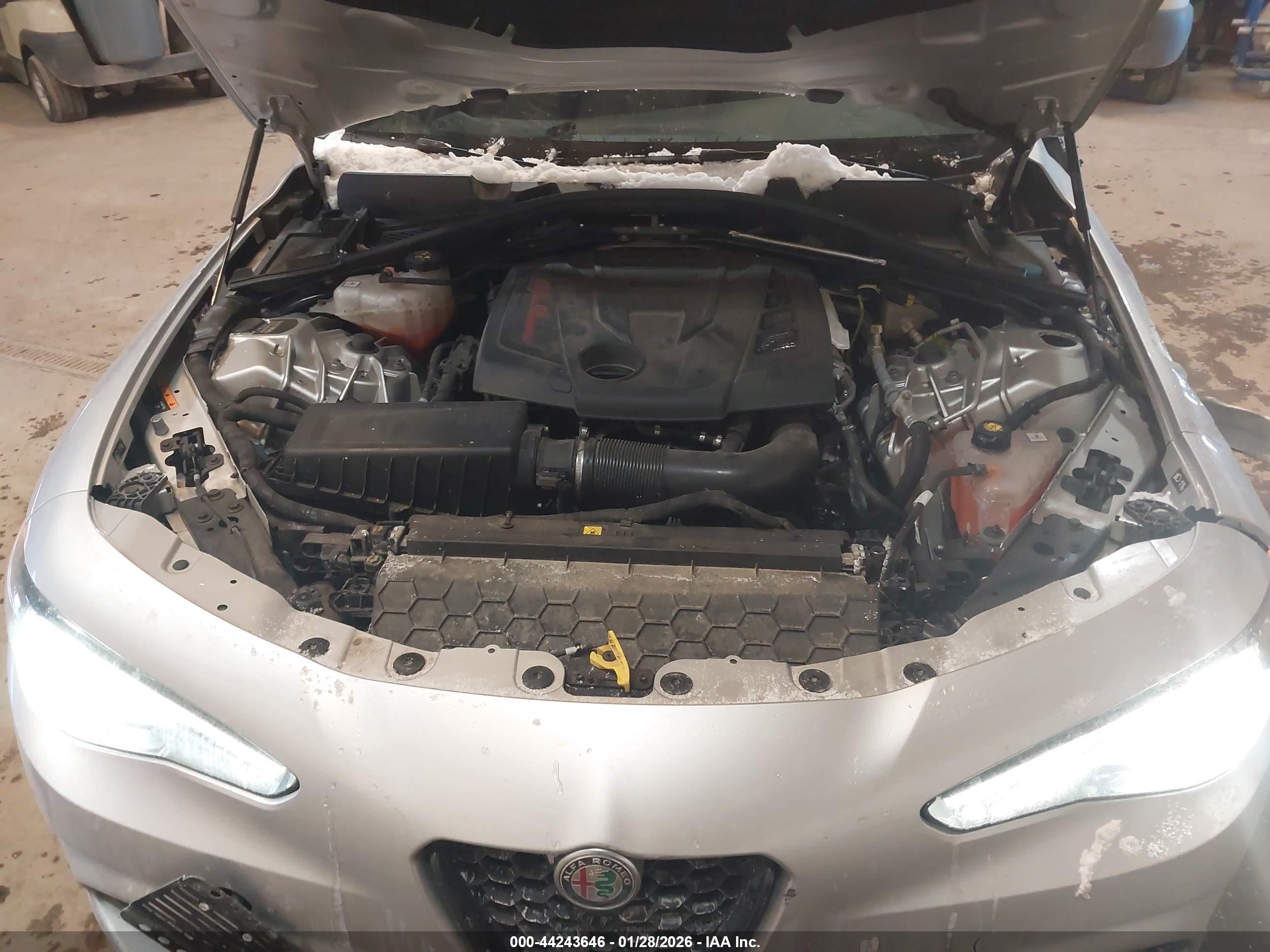 ALFA ROMEO image 10