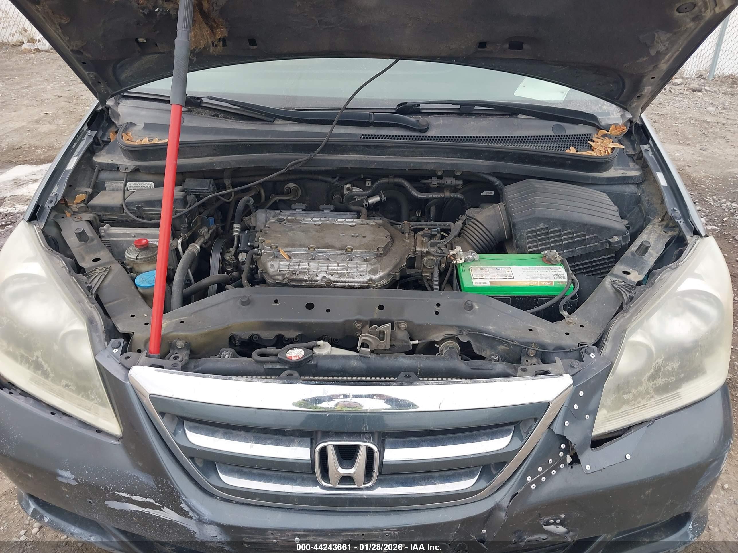 HONDA ODYSSEY image 10