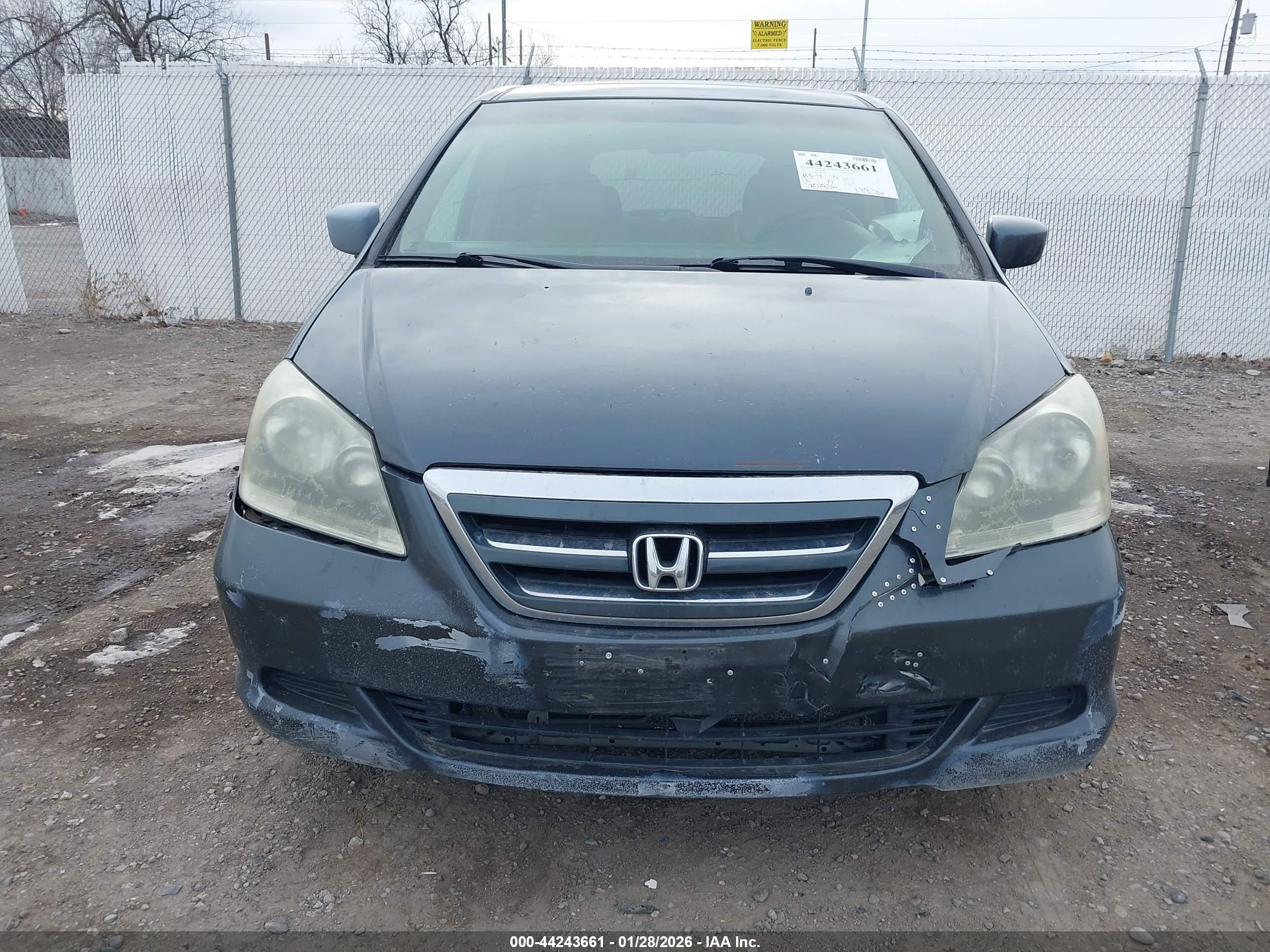 HONDA ODYSSEY image 6