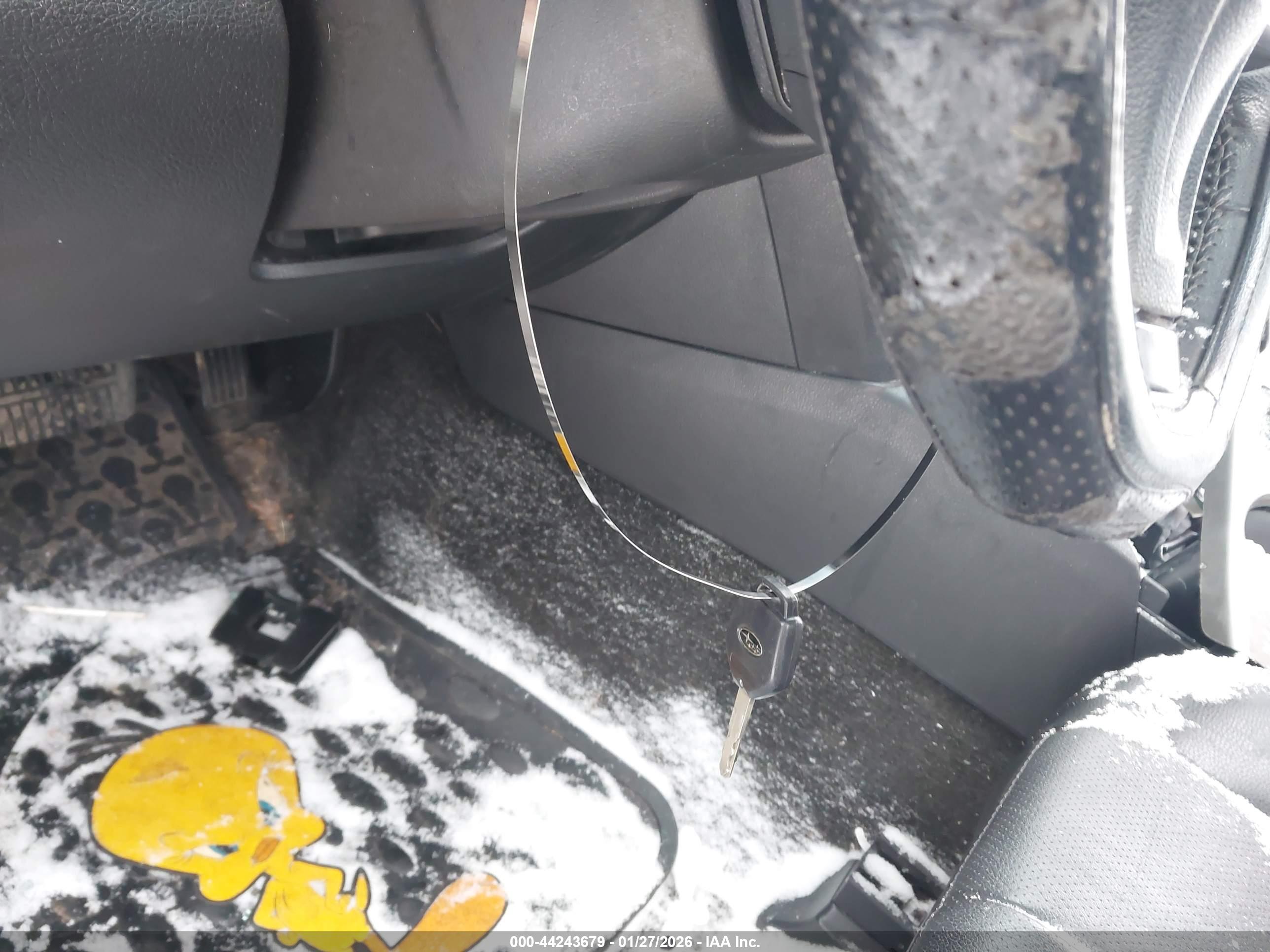 SUBARU OUTBACK image 11