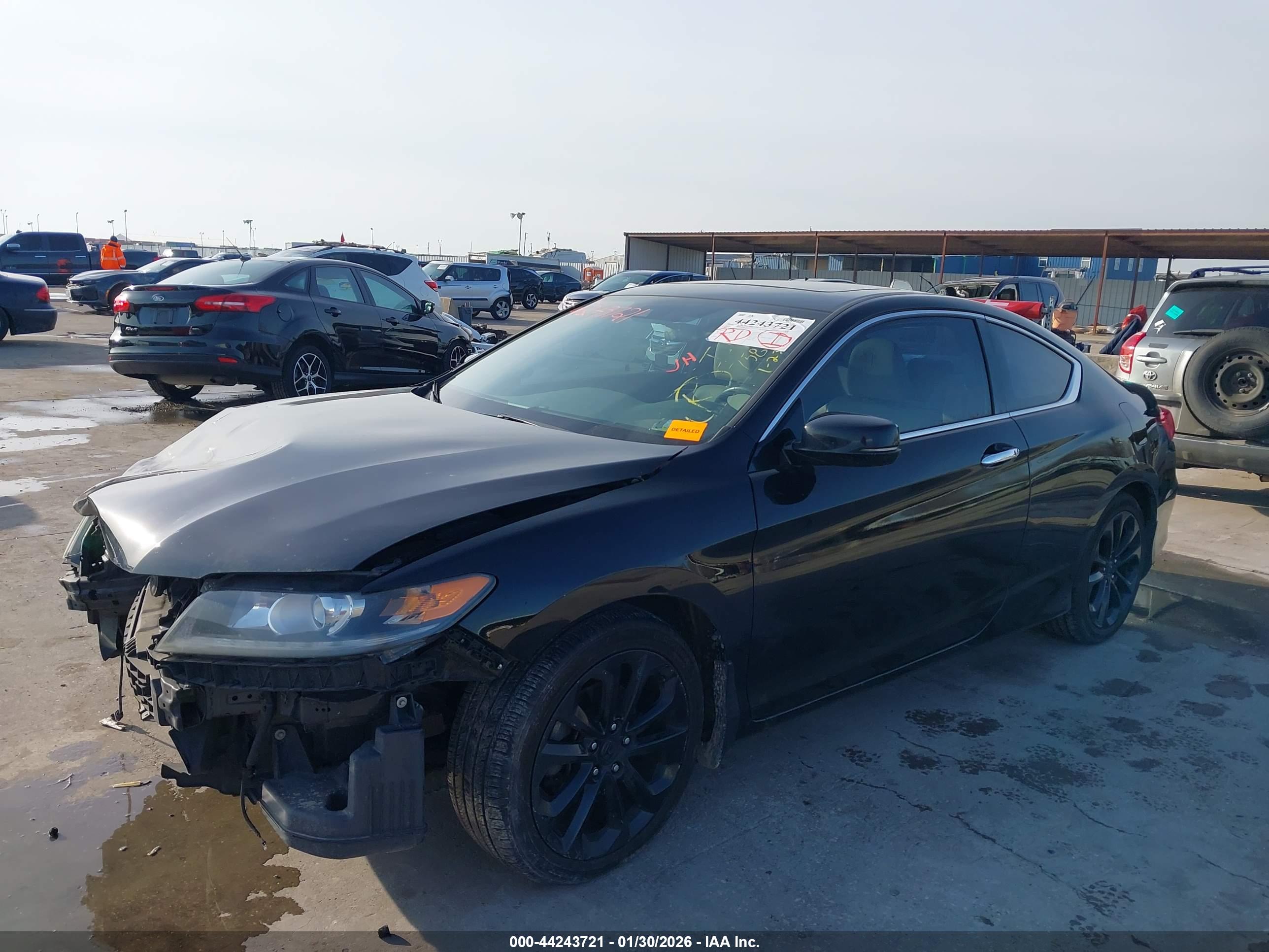 HONDA ACCORD image 2