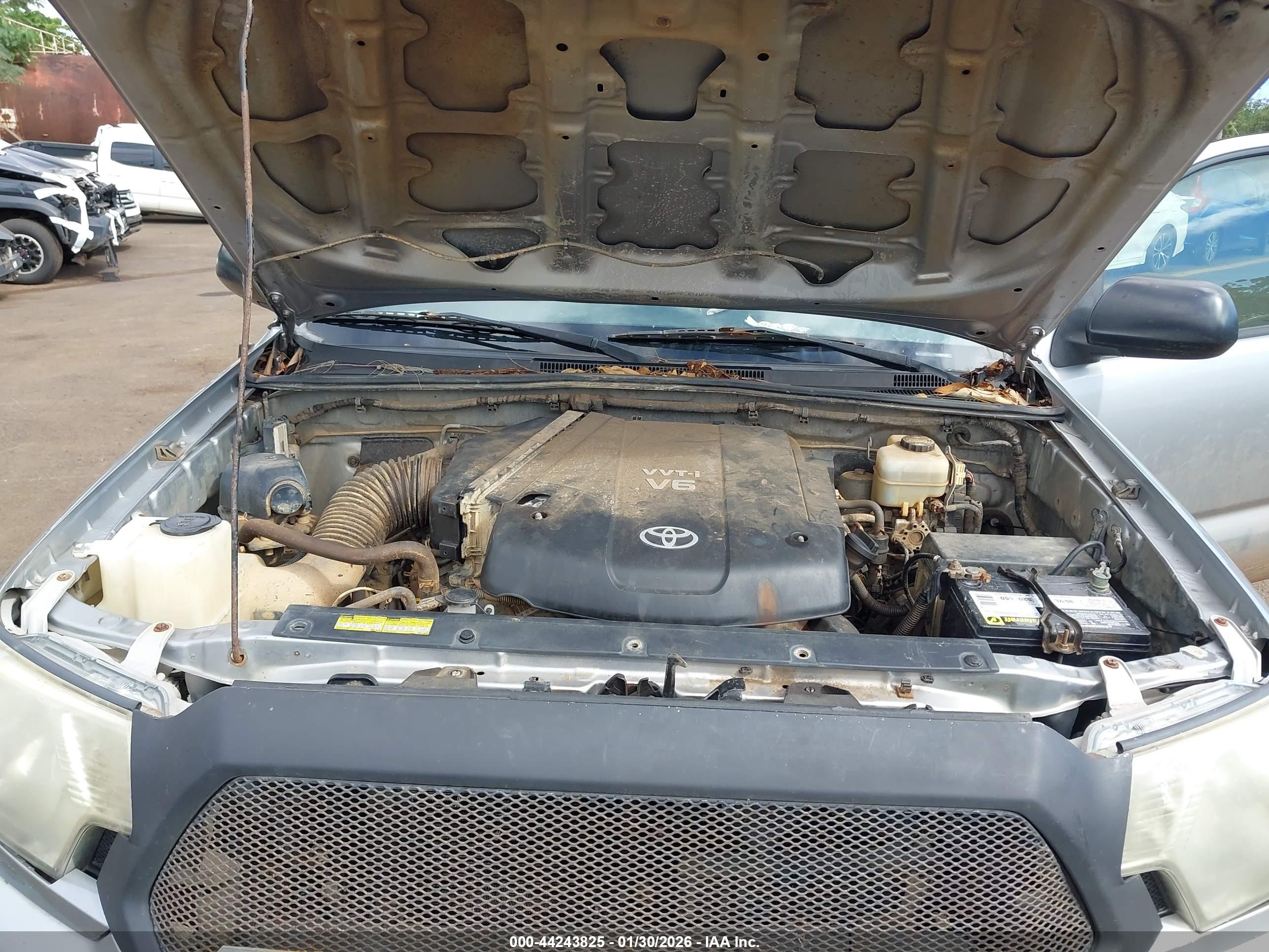 TOYOTA TACOMA image 10