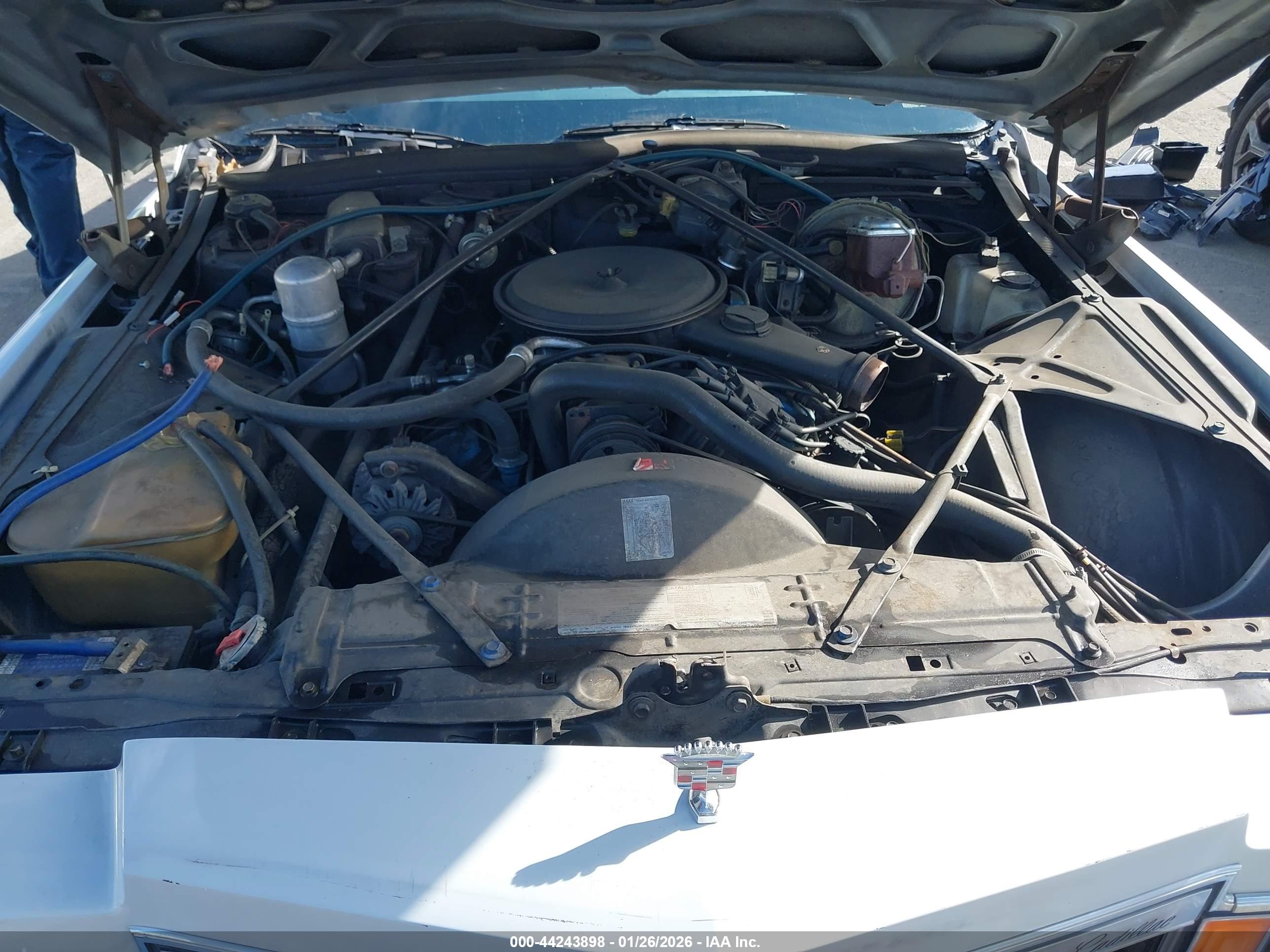CADI COUPE image 10