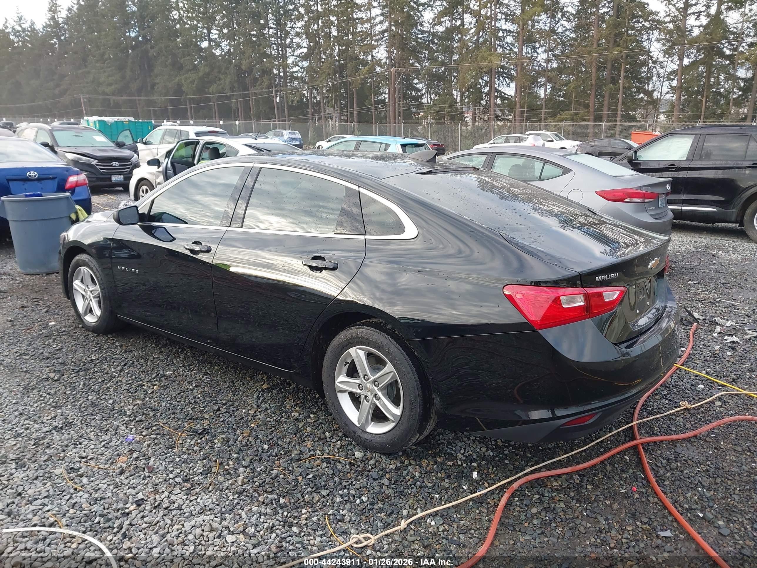 CHEVROLET MALIBU image 3