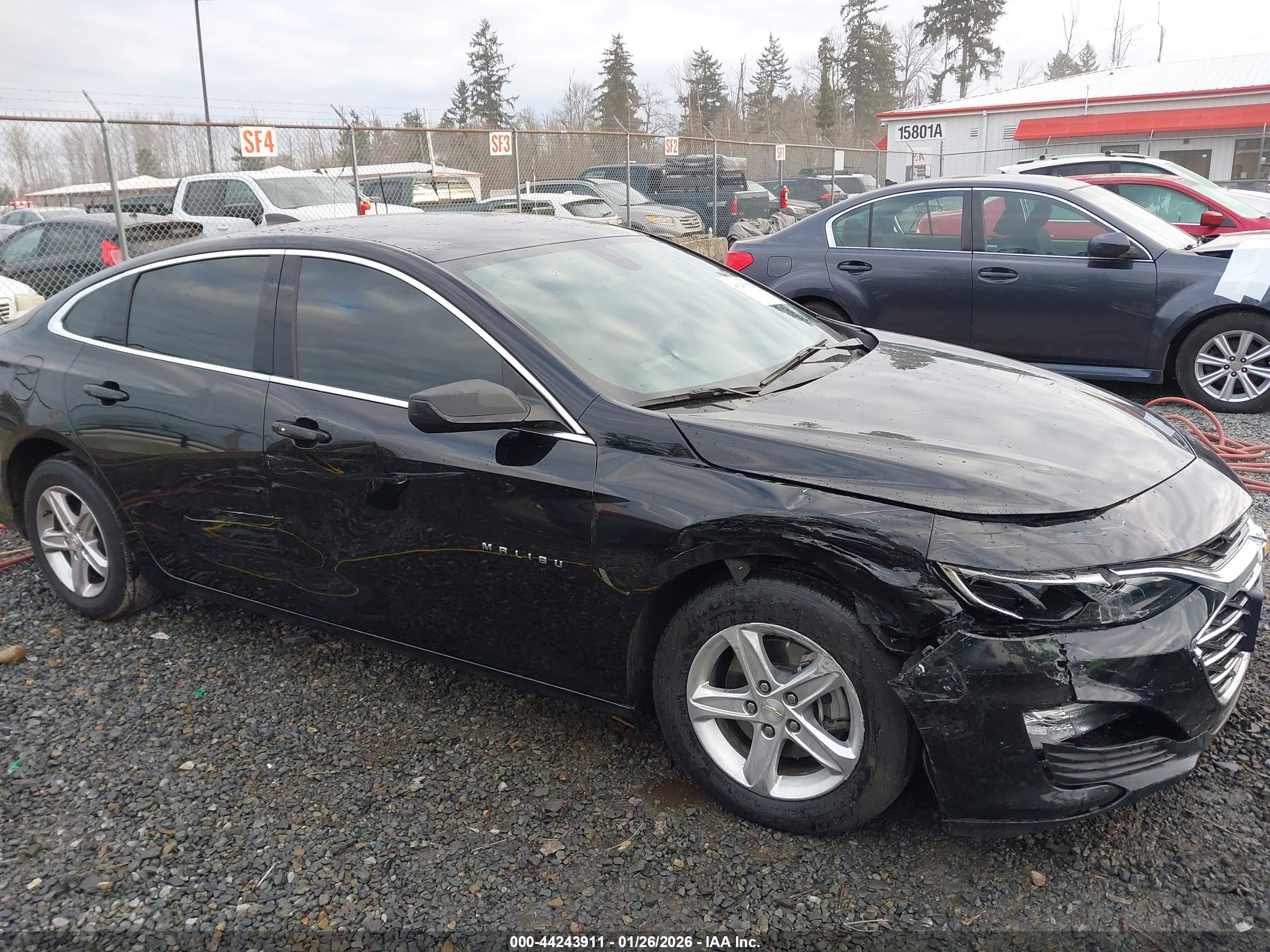 CHEVROLET MALIBU image 6