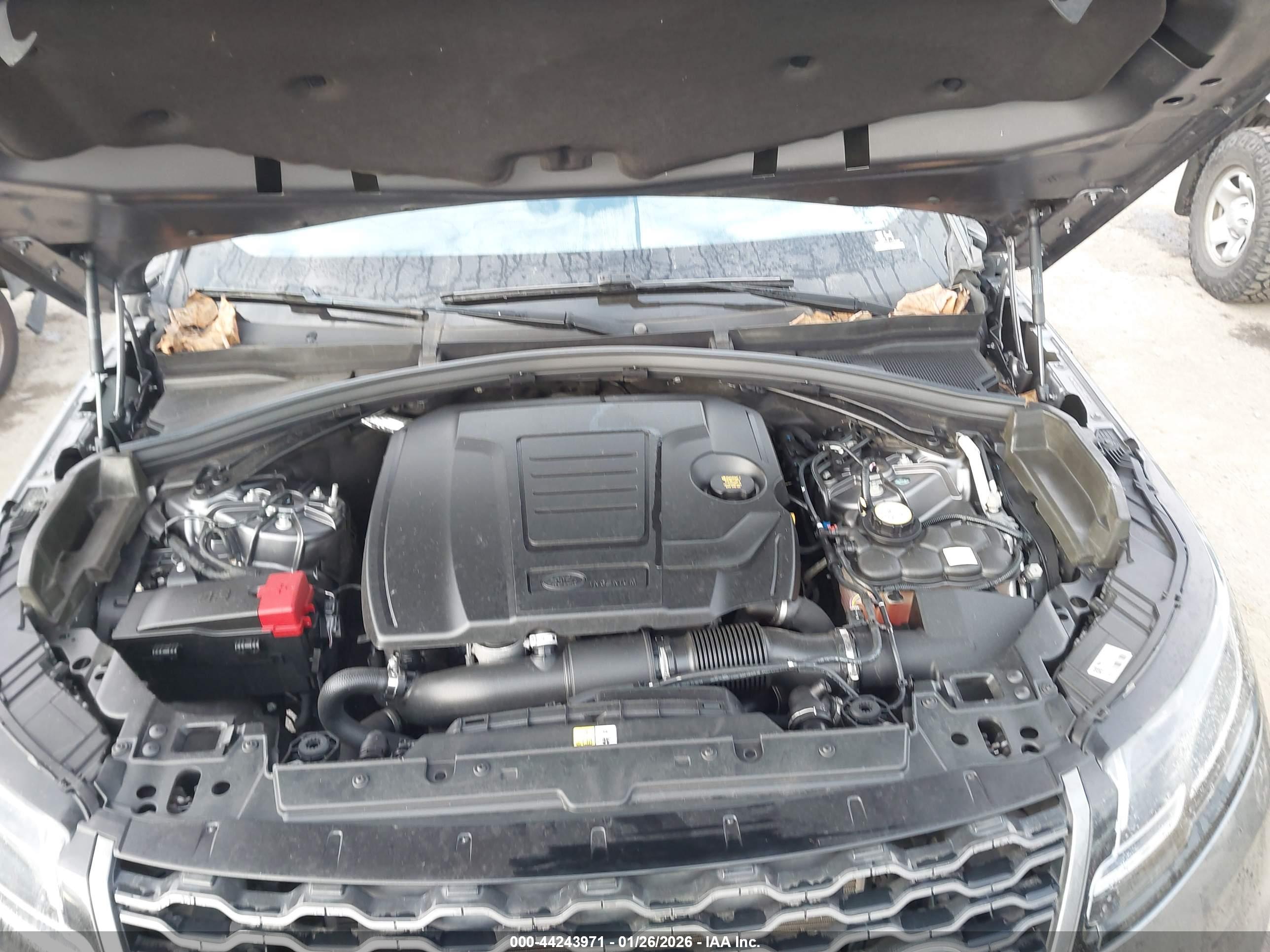 LAND ROVER image 10