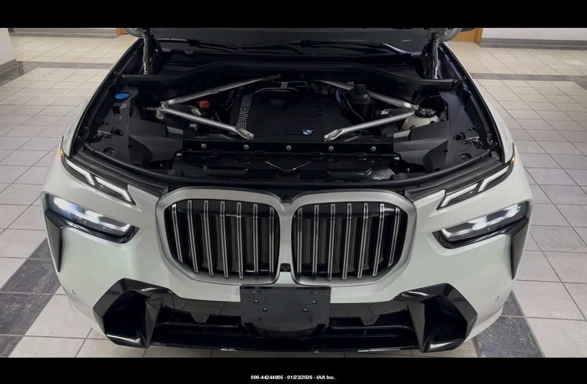 BMW X7 image 10