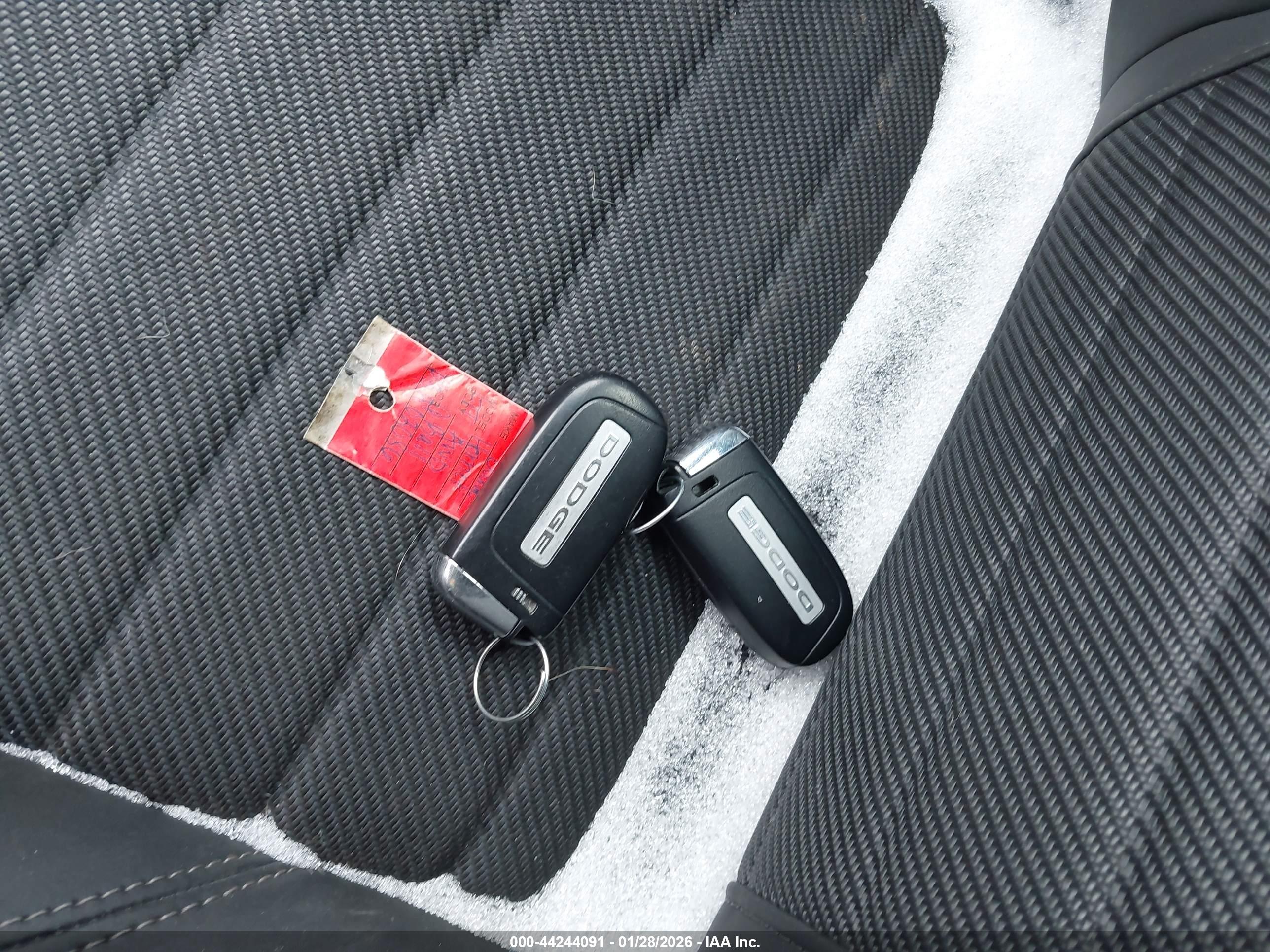 DODGE HORNET image 11
