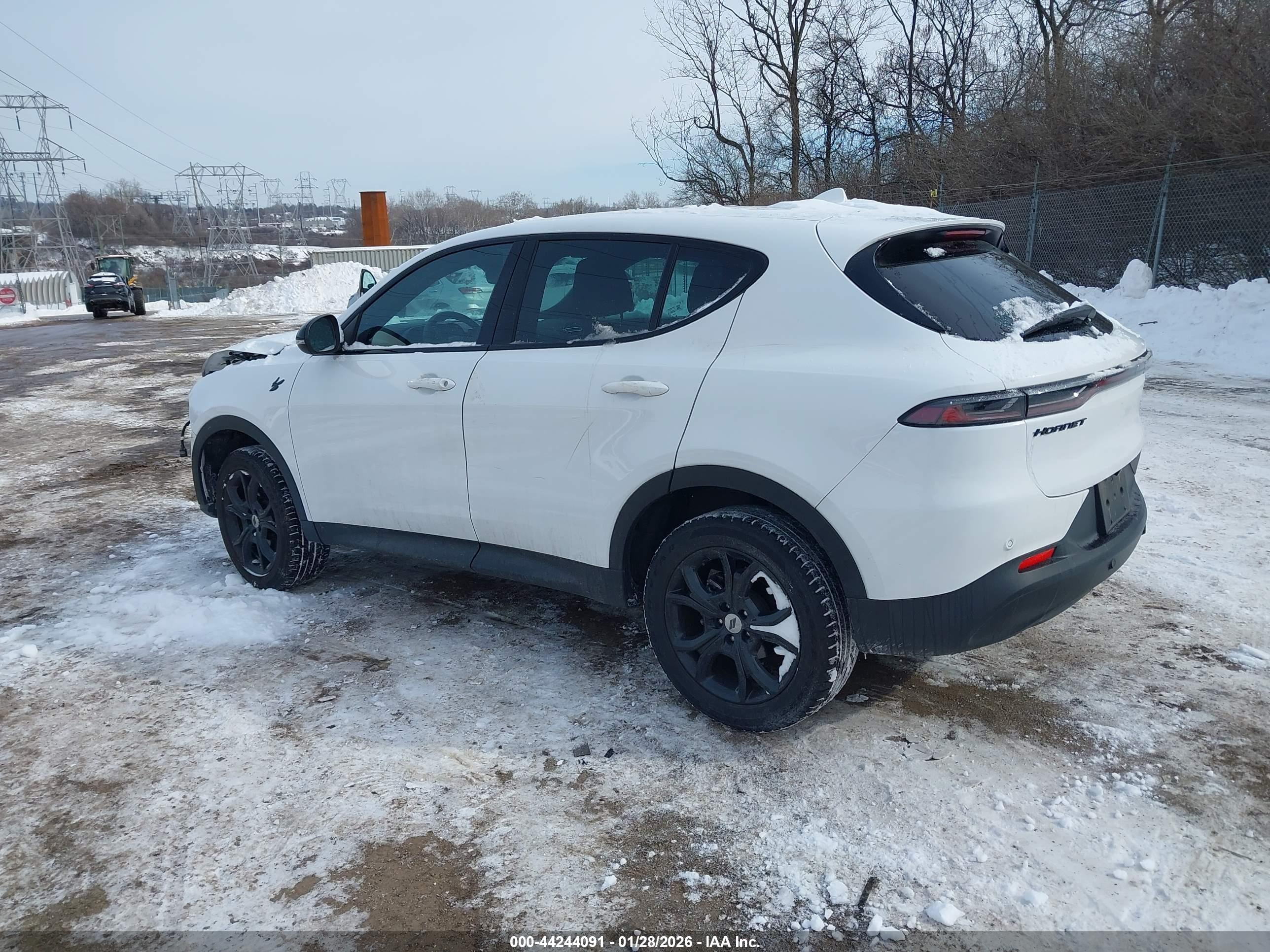 DODGE HORNET image 3
