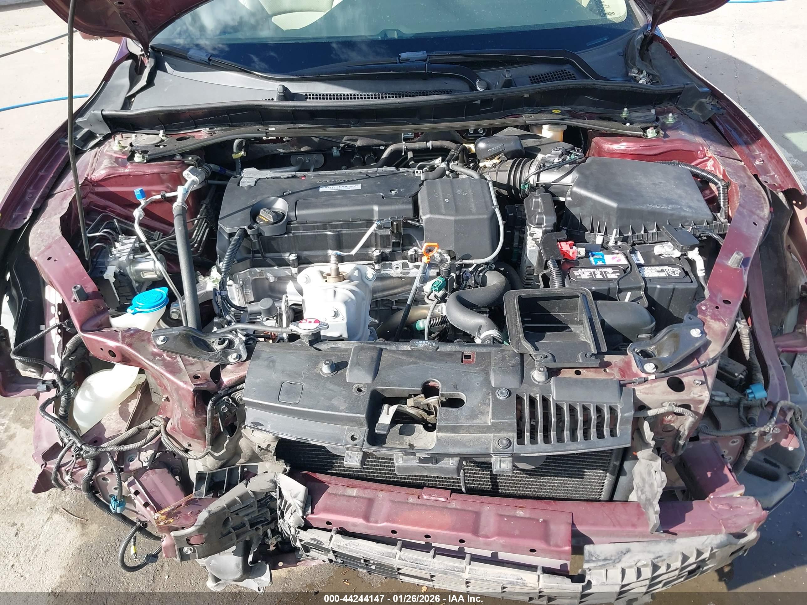 HONDA ACCORD image 10