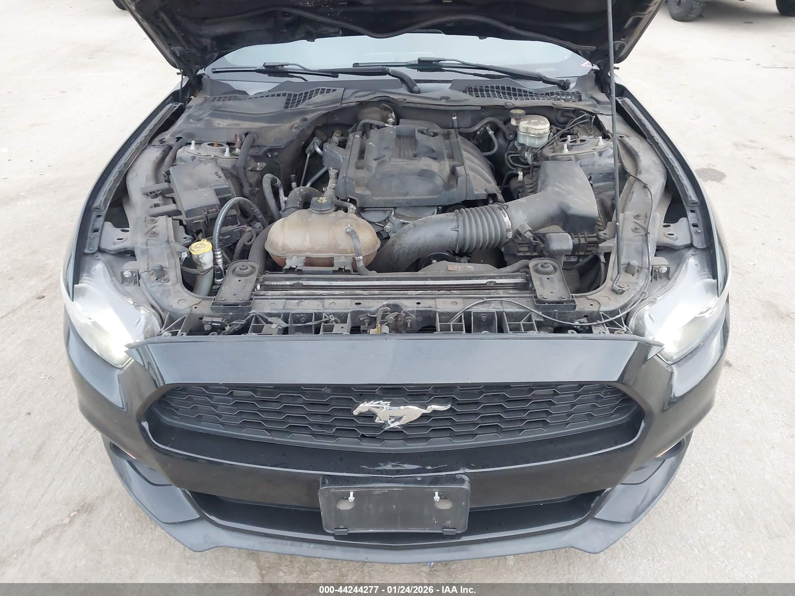 FORD MUSTANG image 10