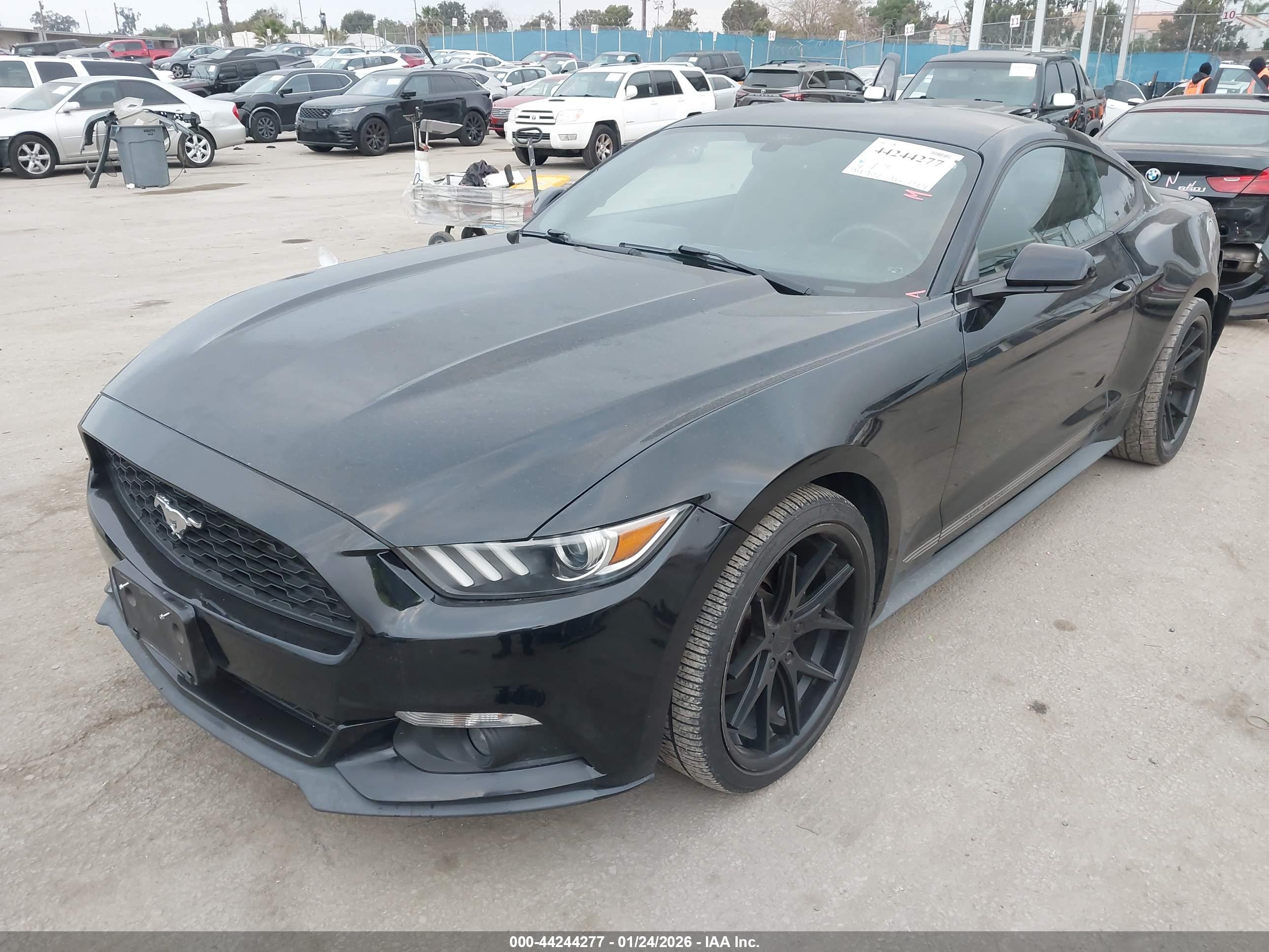 FORD MUSTANG image 2