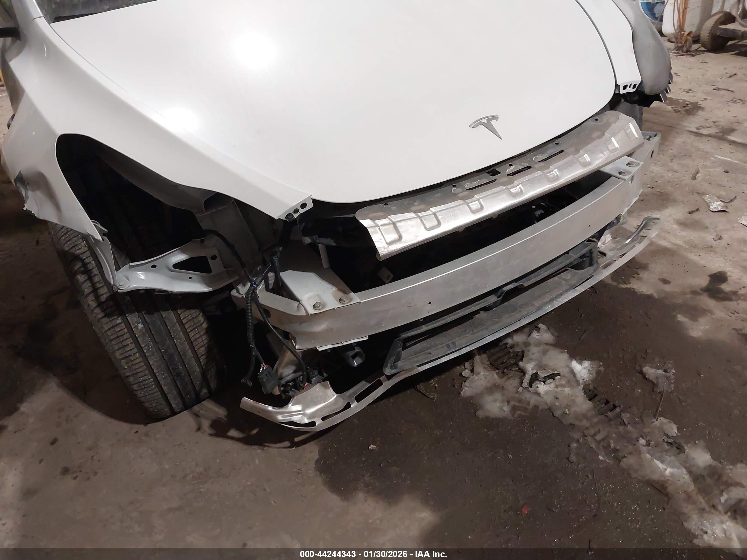 TESLA MODEL image 6